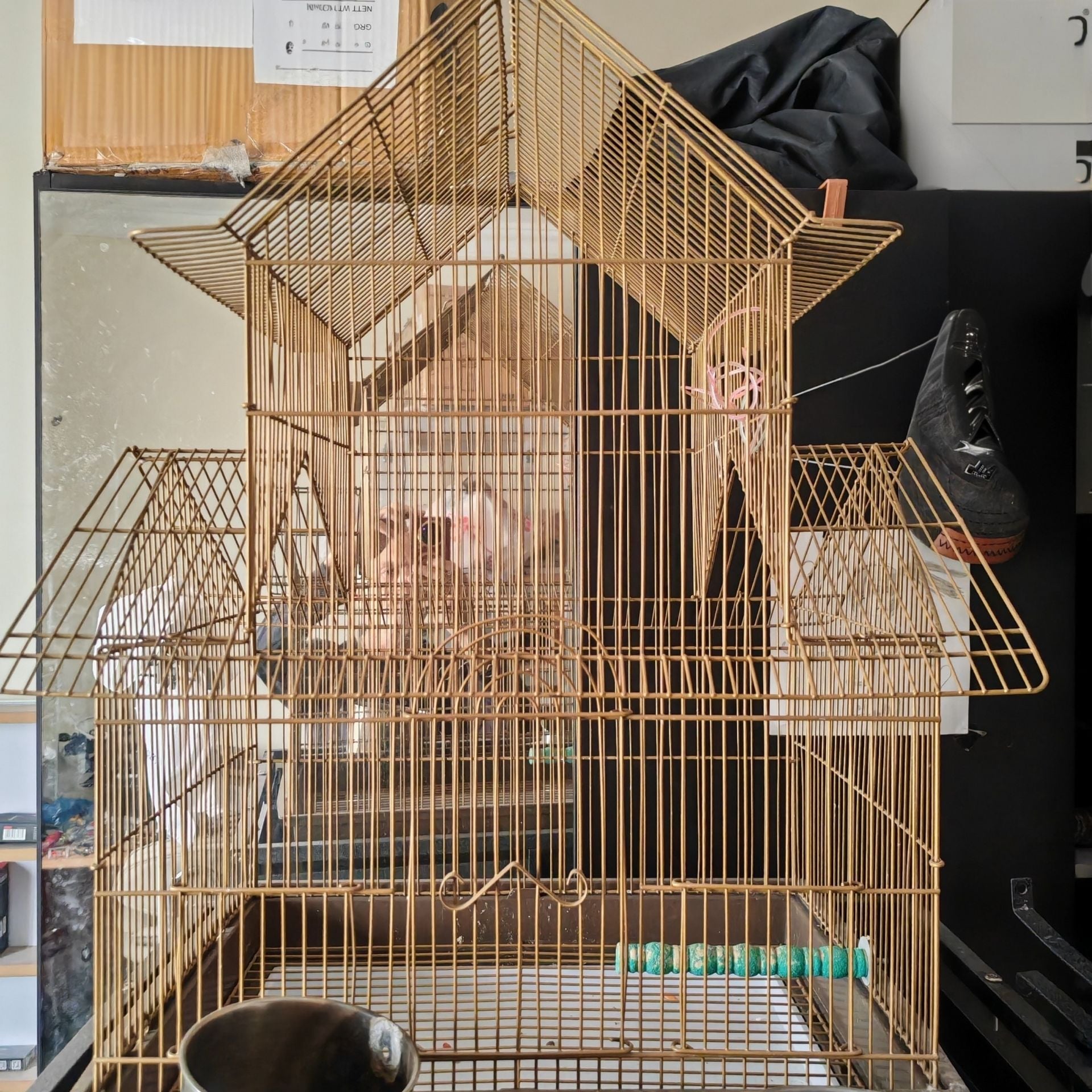 أقفاص الطيور . Bird cages - Image 4
