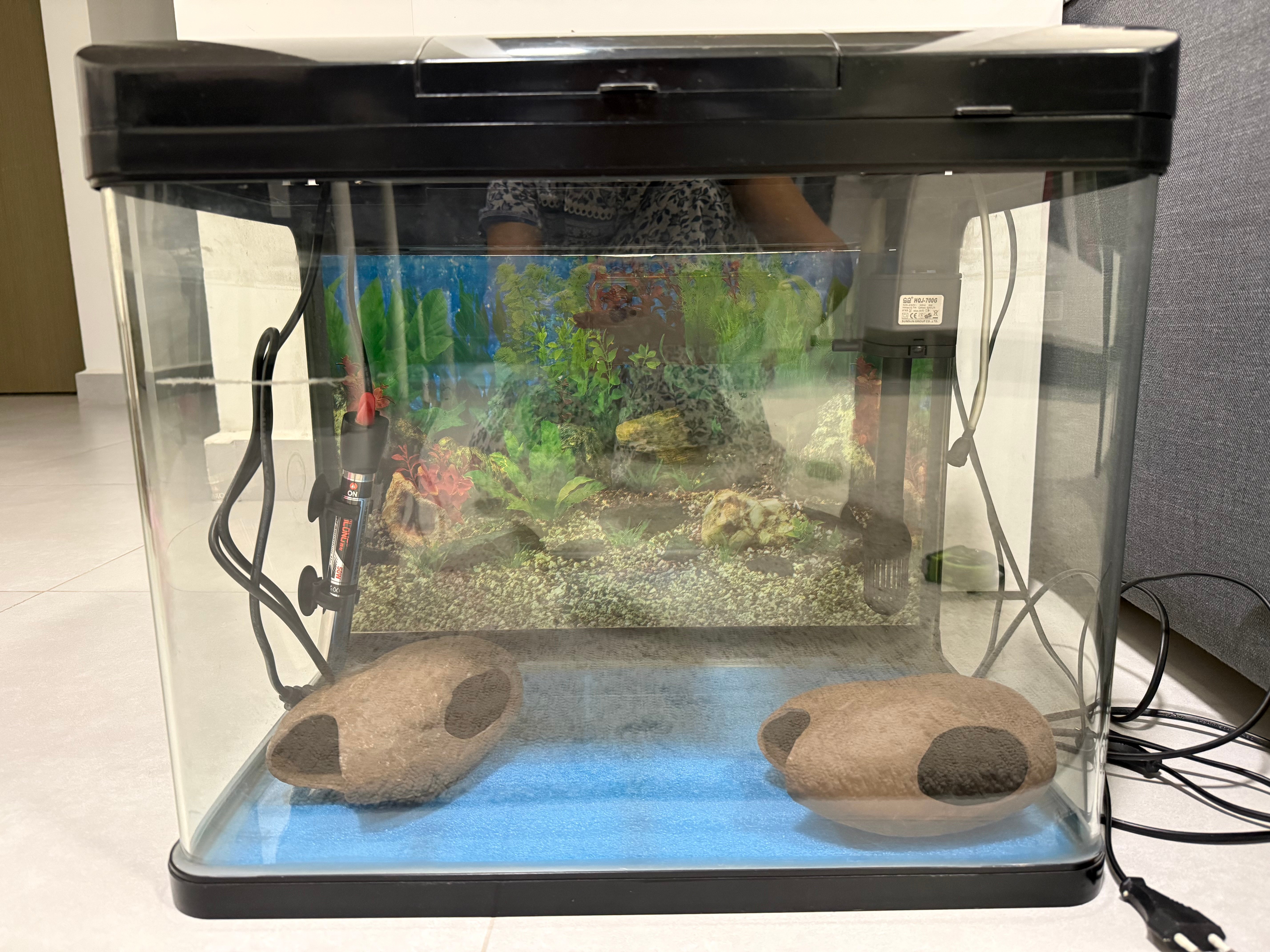 Fish tank Length 50cms,width 30cms,height 40cms - Image 1