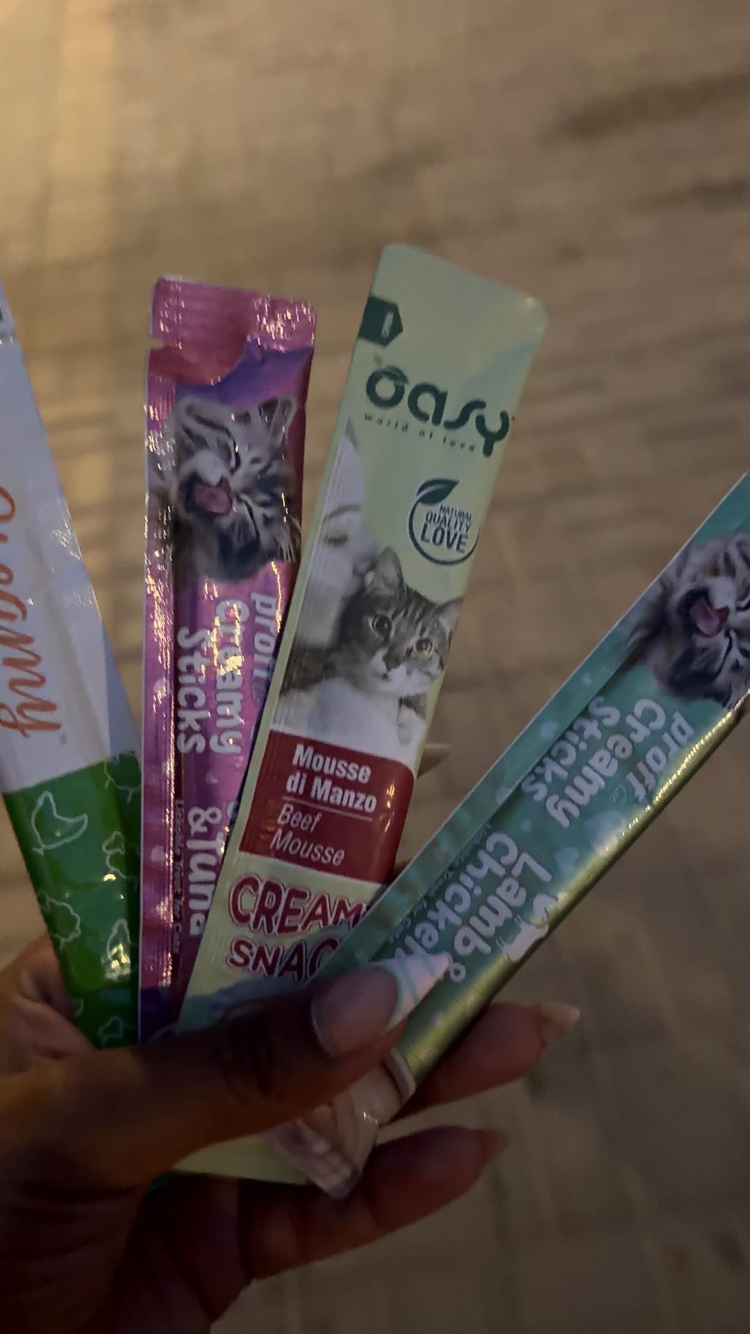 Kittens - Image 3