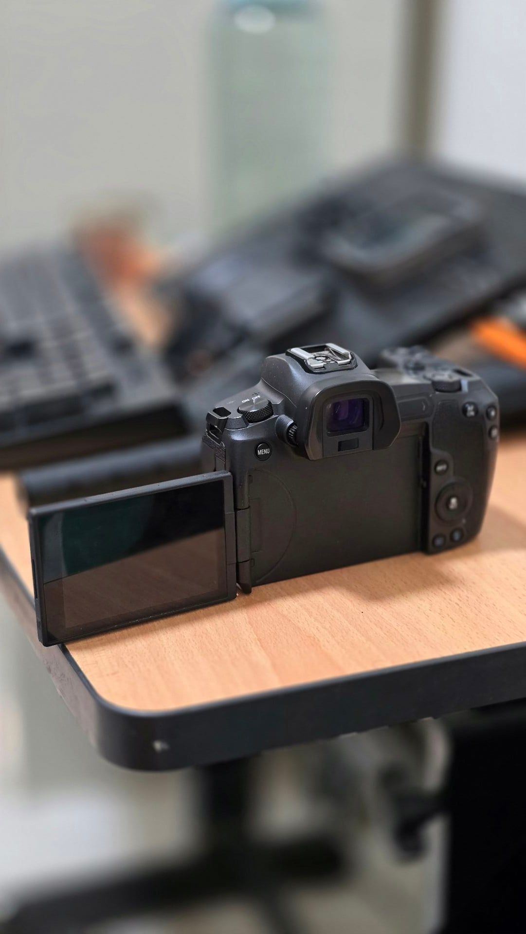 Canon EOS R  - Image 2