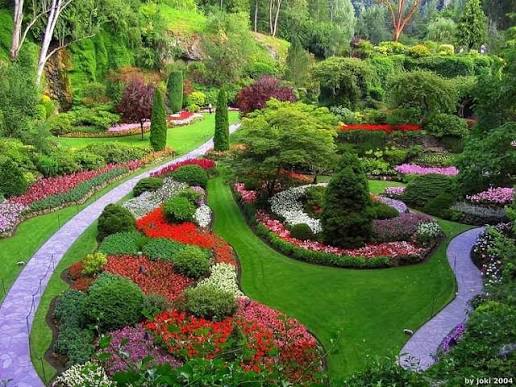 Best garden care - Image 2