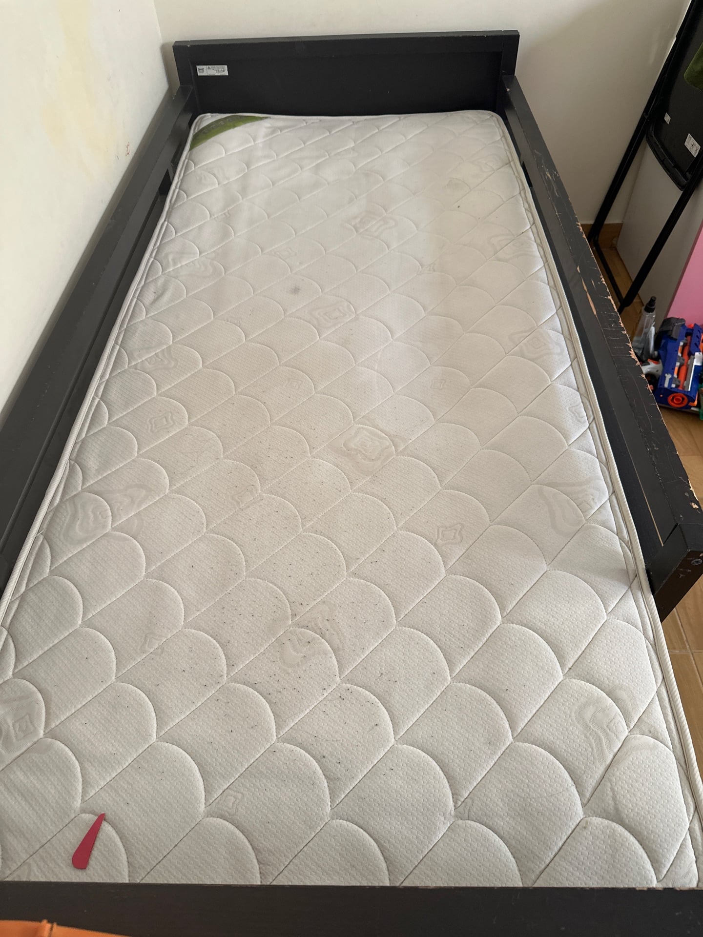 Single Bed for Sale - Image 1