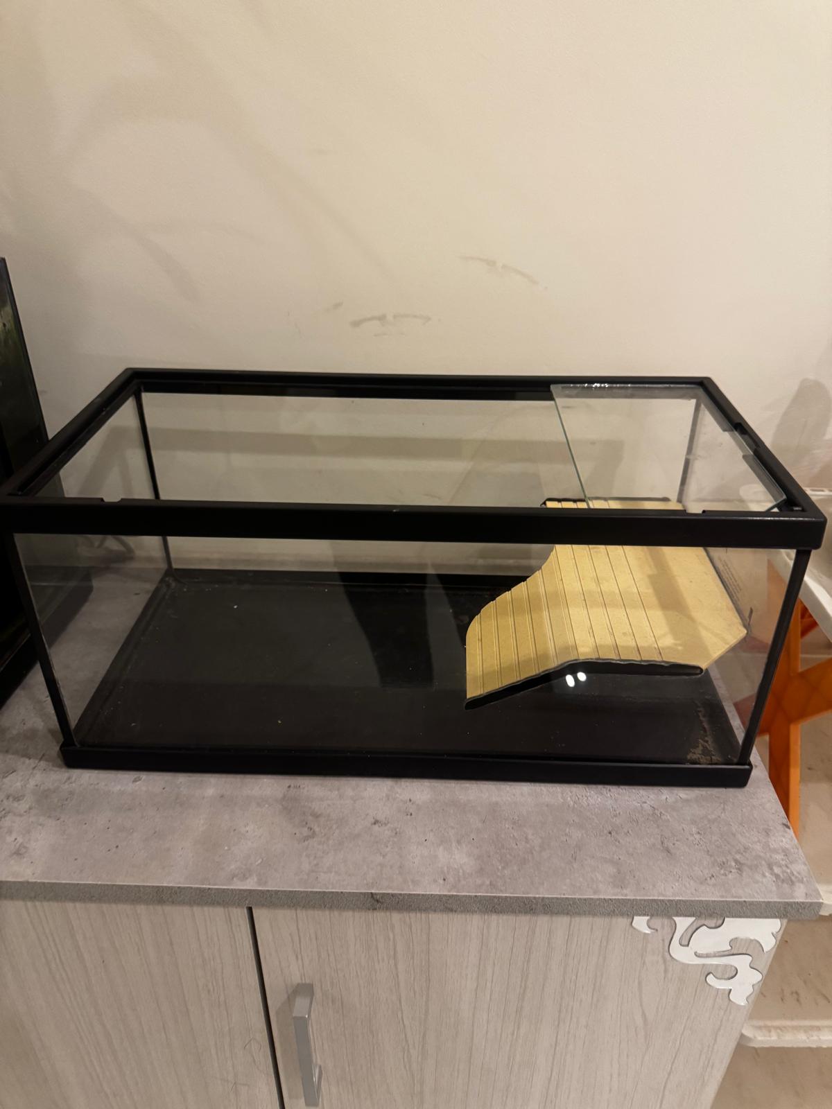 Tortoise tank - Image 2