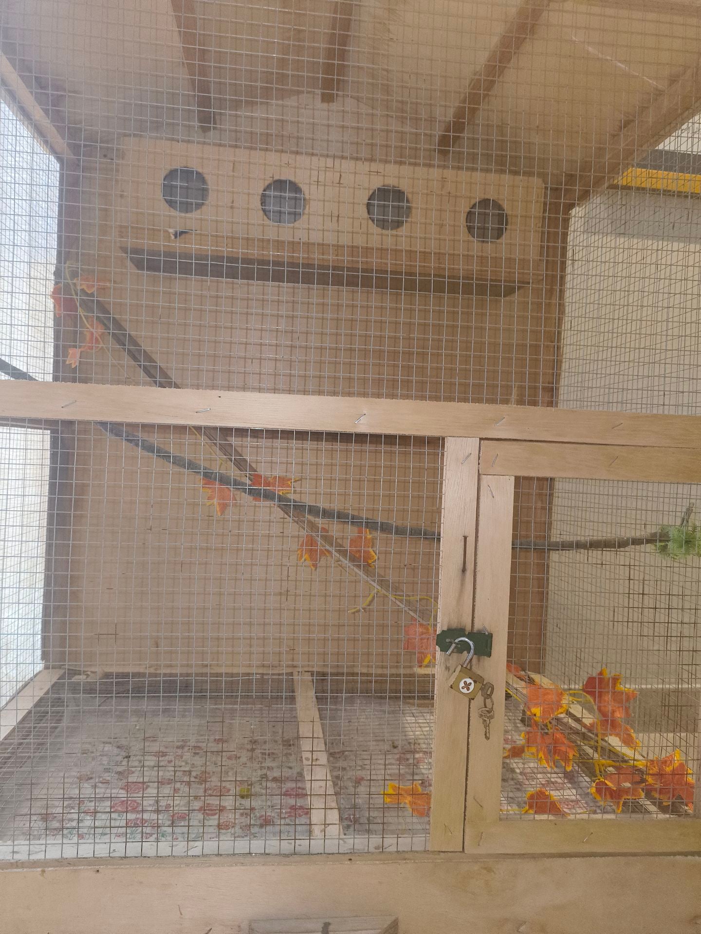 Reptile or birds wooden cage  - Image 2
