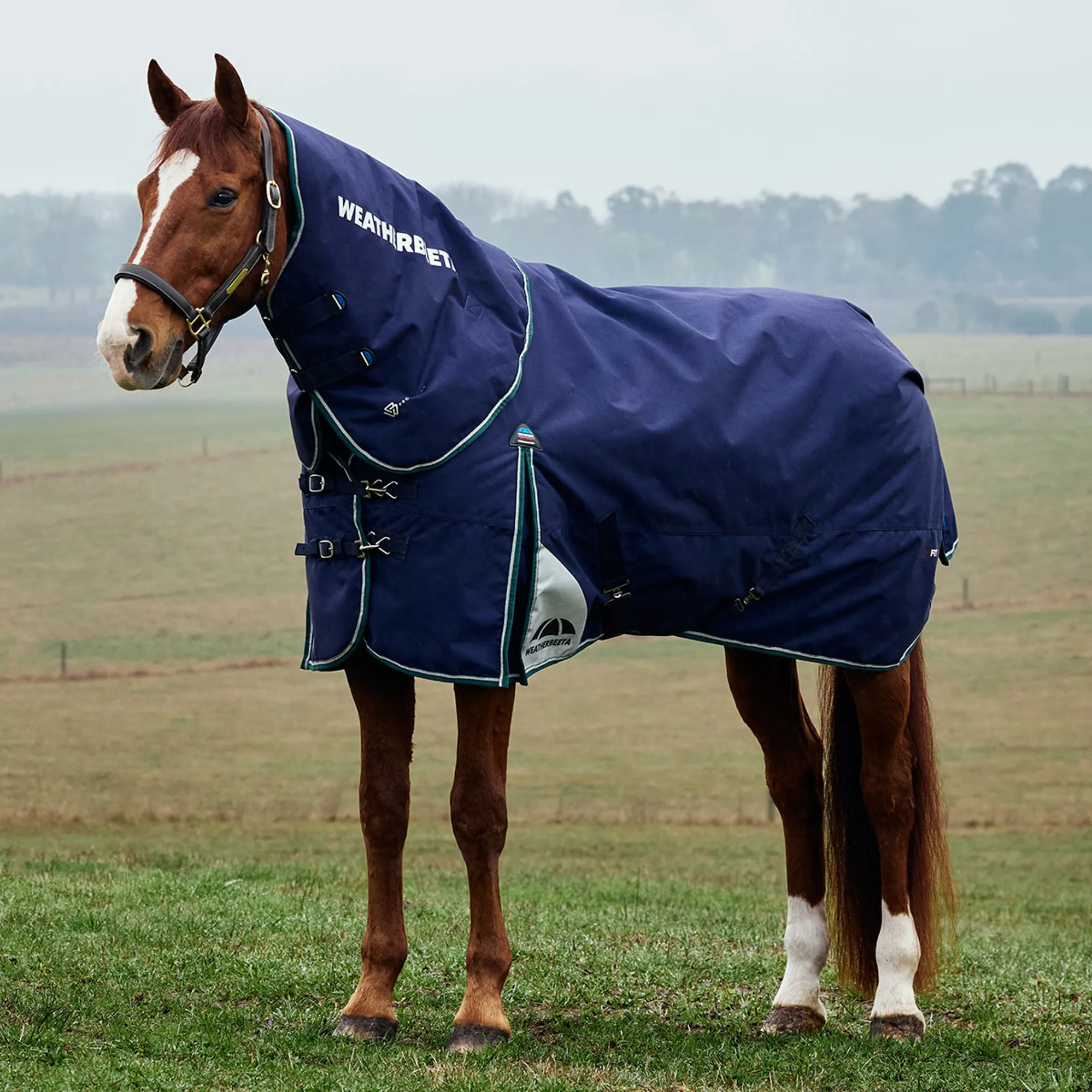 WeatherBeeta ComFiTec Plus Dynamic 0g Detach-A-Neck Turnout Rug - Image 1