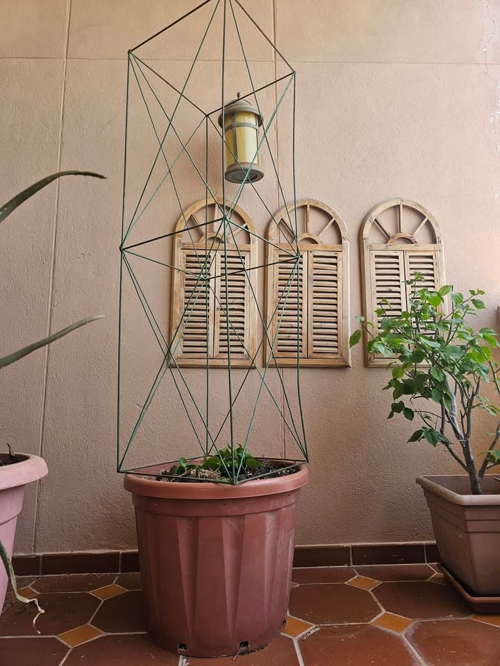 Metal Trellis - Image 1