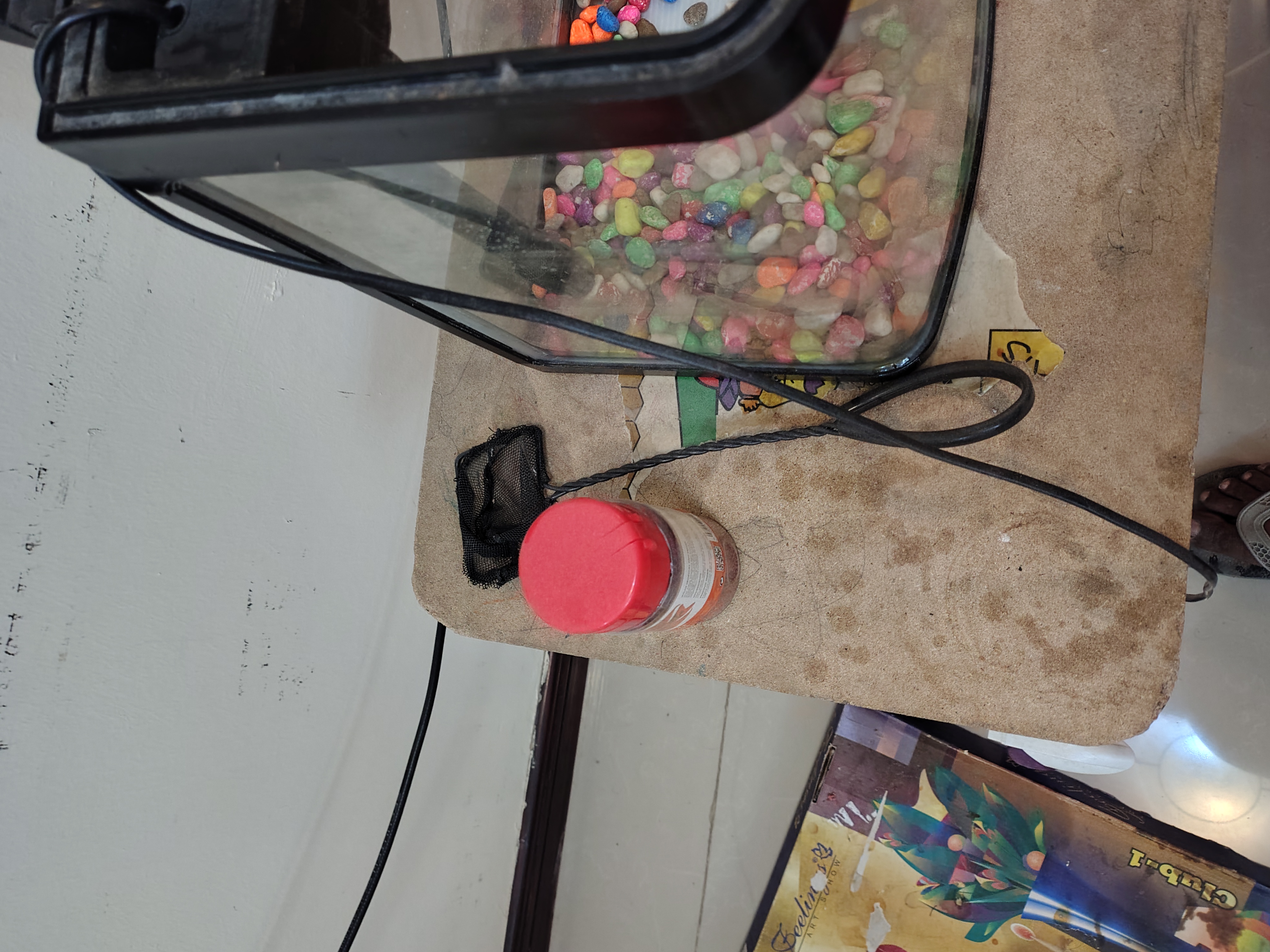 smalll aquarium for sale - Image 5