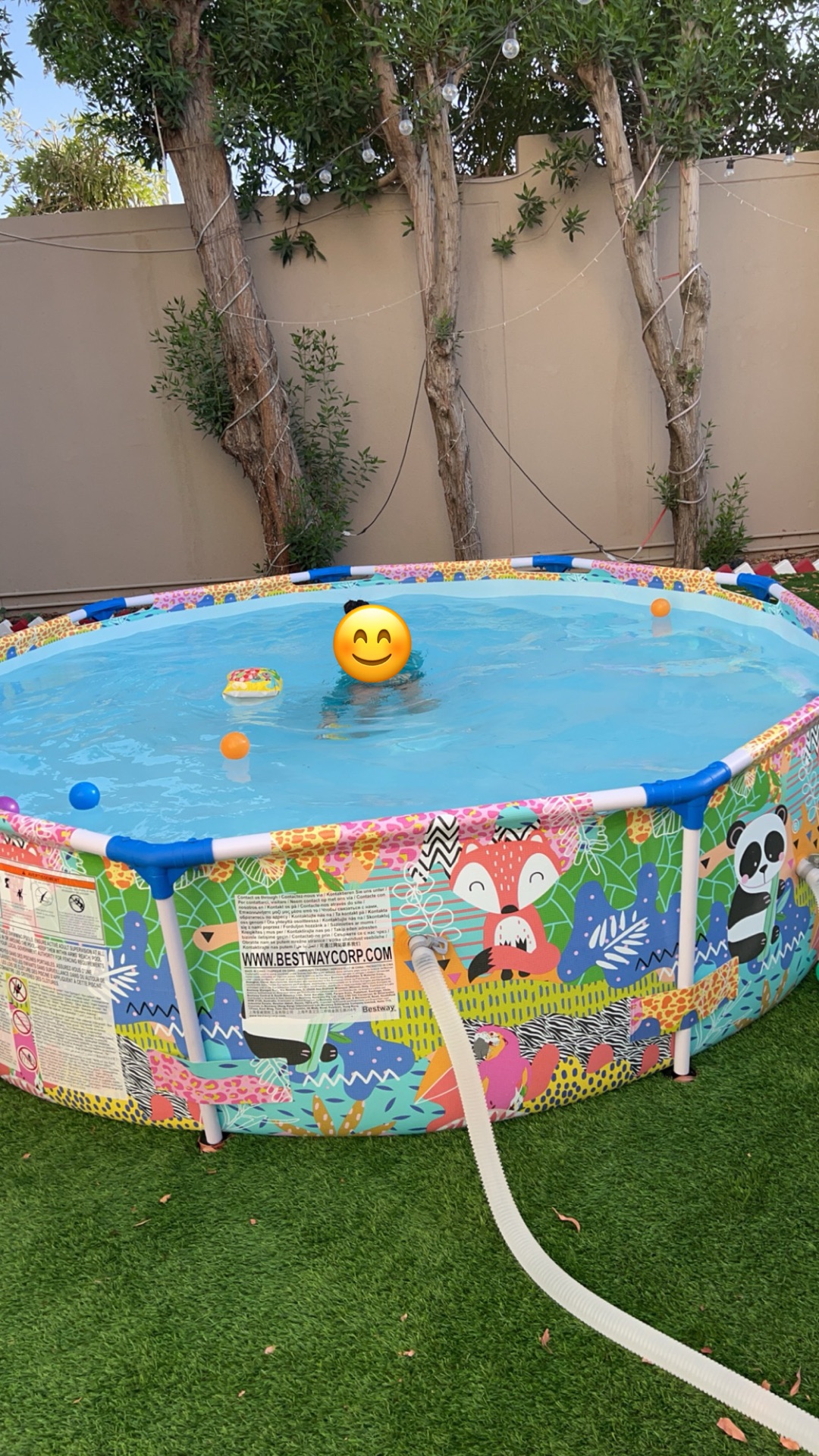 Swimming pool - Image 4