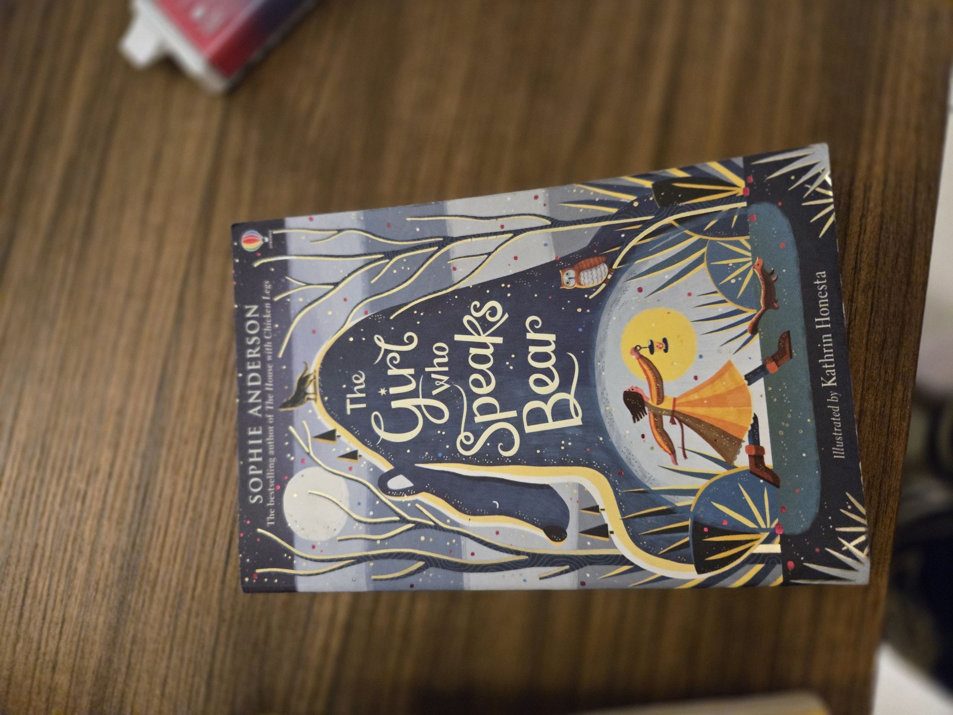 Children books Roald Dahl&Dairy of Wimpey kid - Image 4
