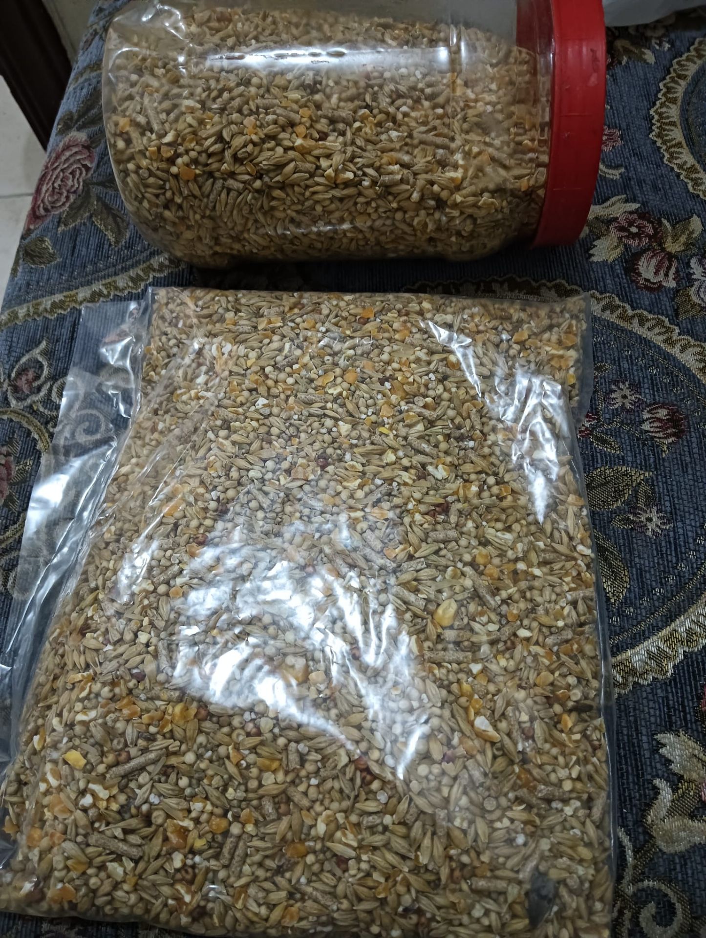 2 beatiful pegions with 2 eggs and 2 packets of its food - Image 7