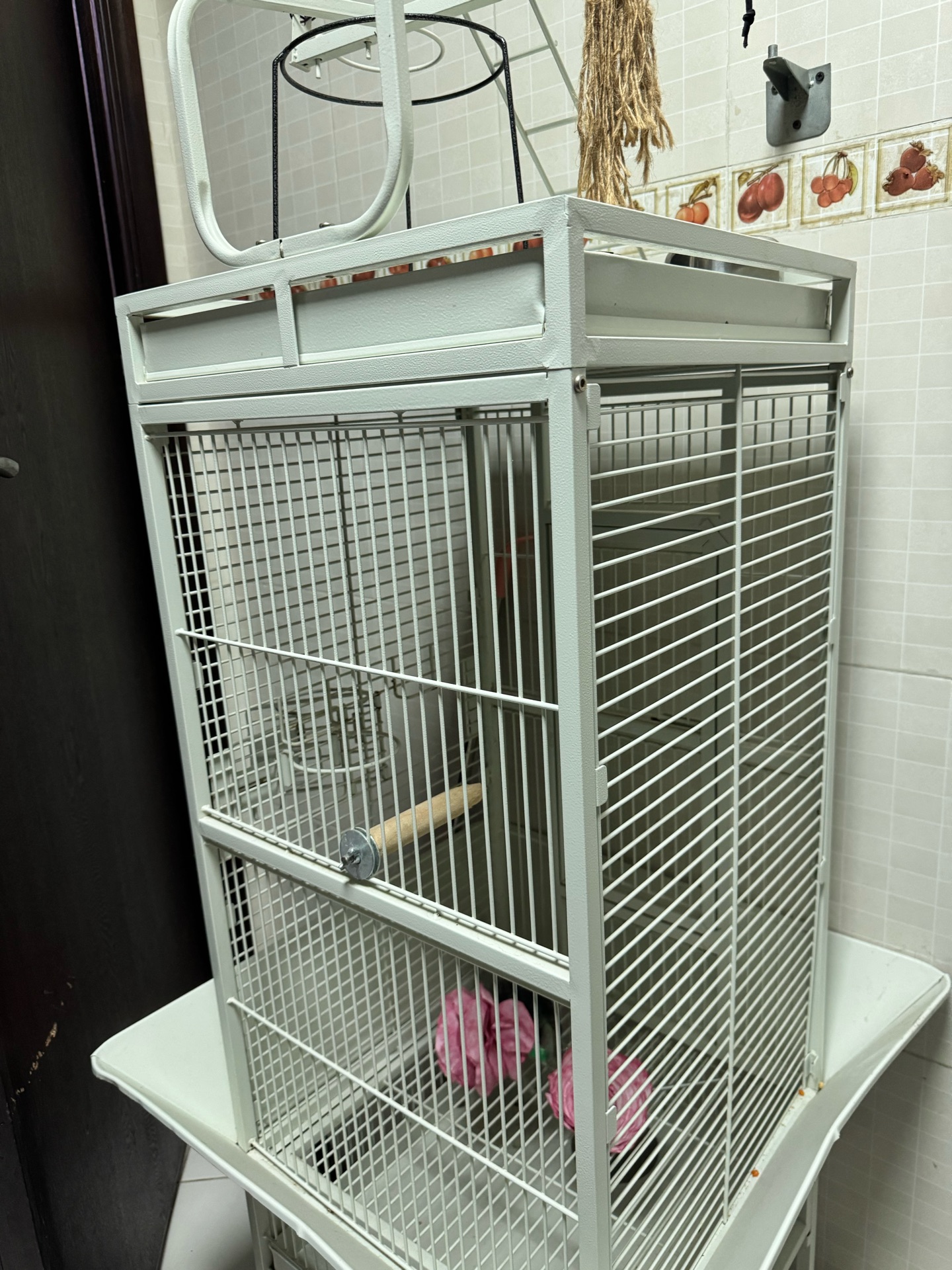 Bird cage - Image 3