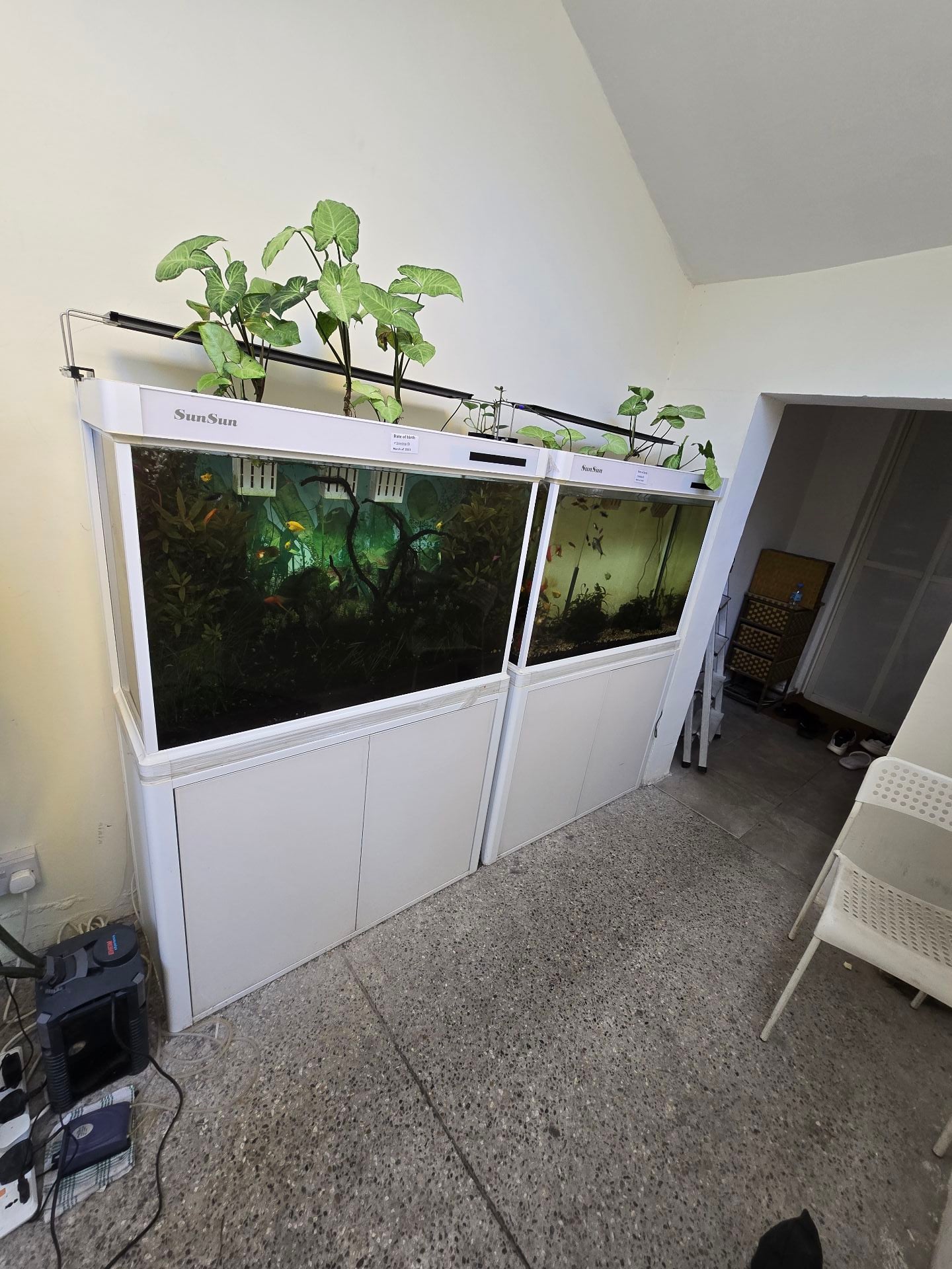 Fish items s🌹🌹 - Image 1