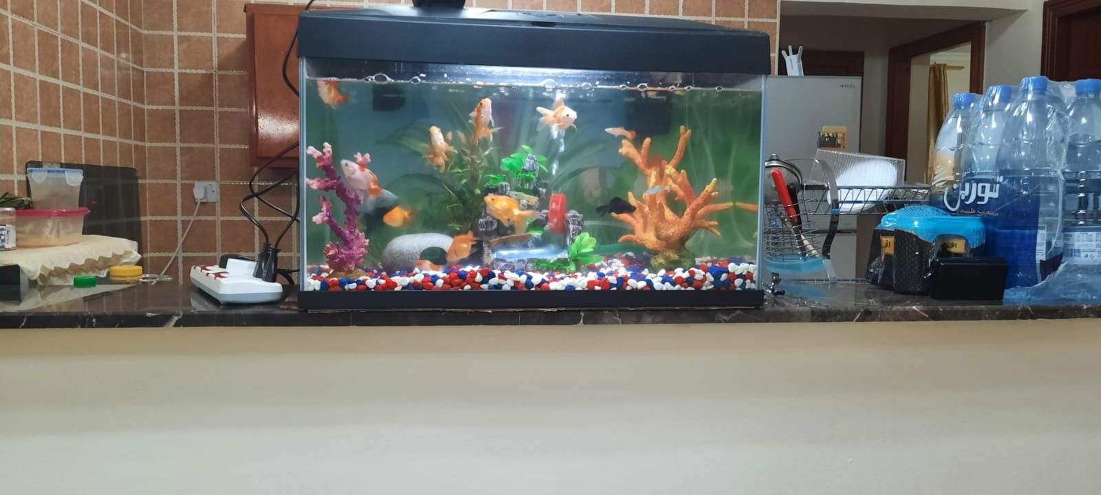 Large fish tank for 300qar with all the accessories - Image 2