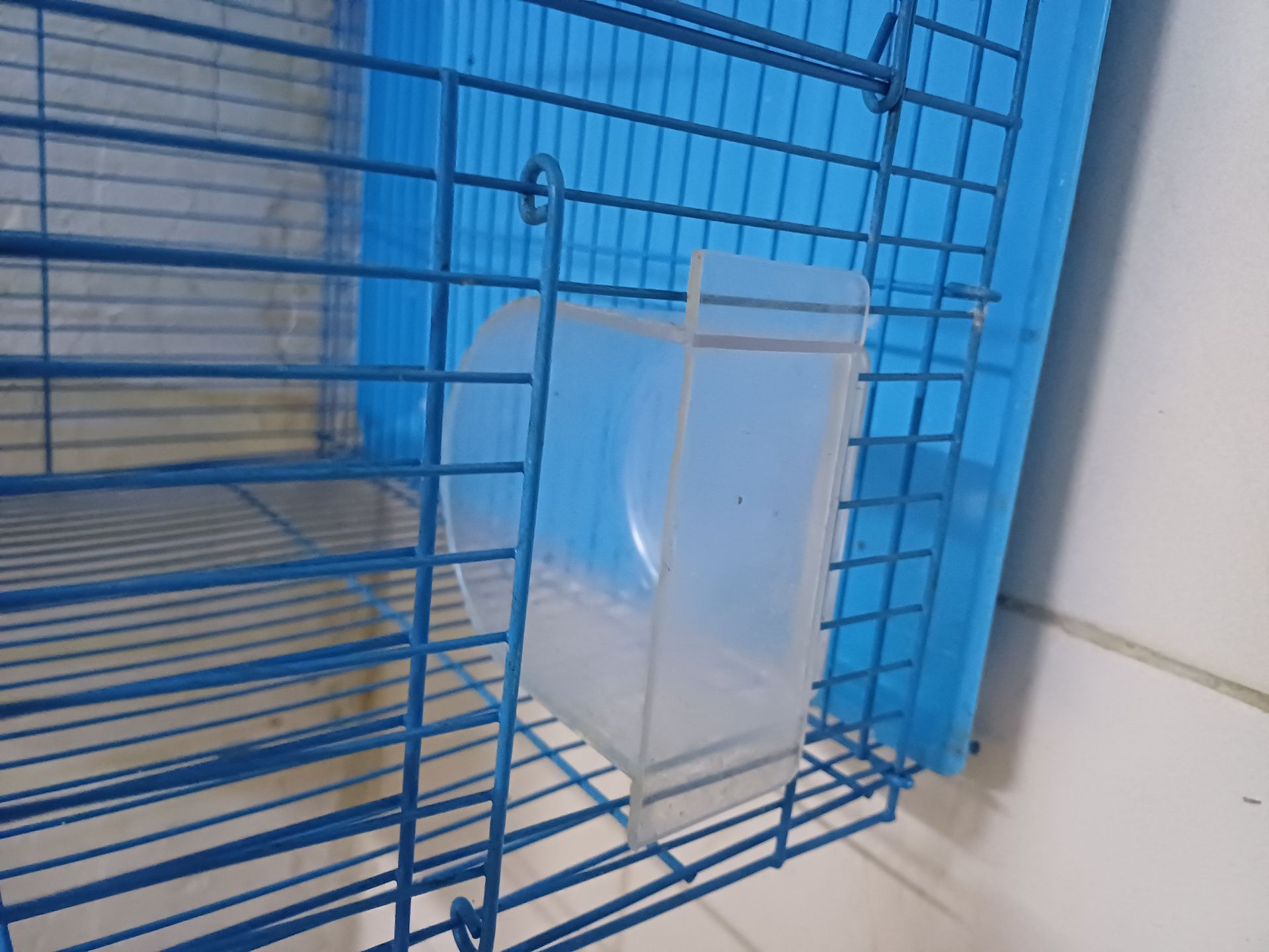 Birds cage ... tow cage avilable.. - Image 2