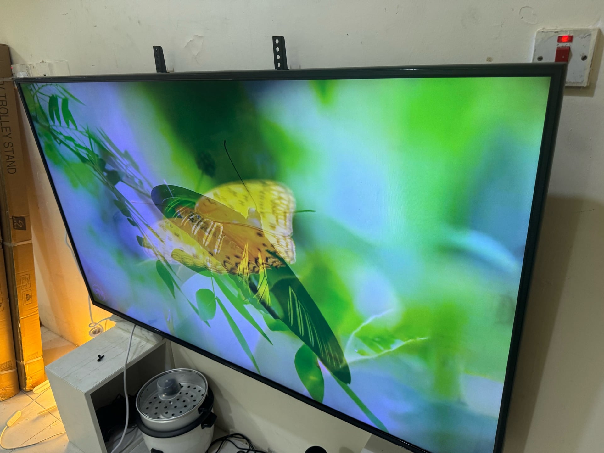 Samsung tv 55 not smart 350 - Image 2