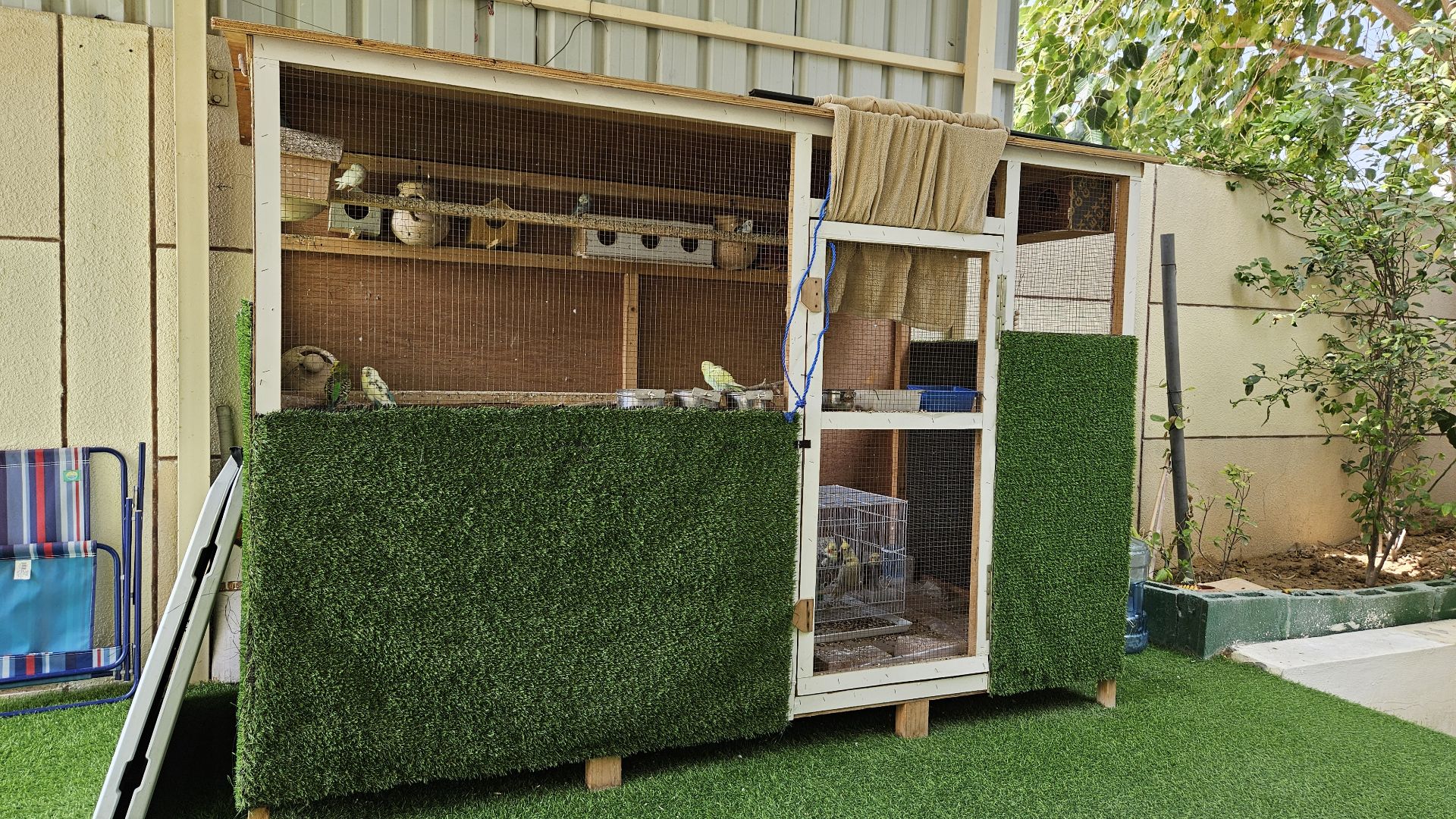 Big wooden cage and Birds for Urgent sale  - Image 2