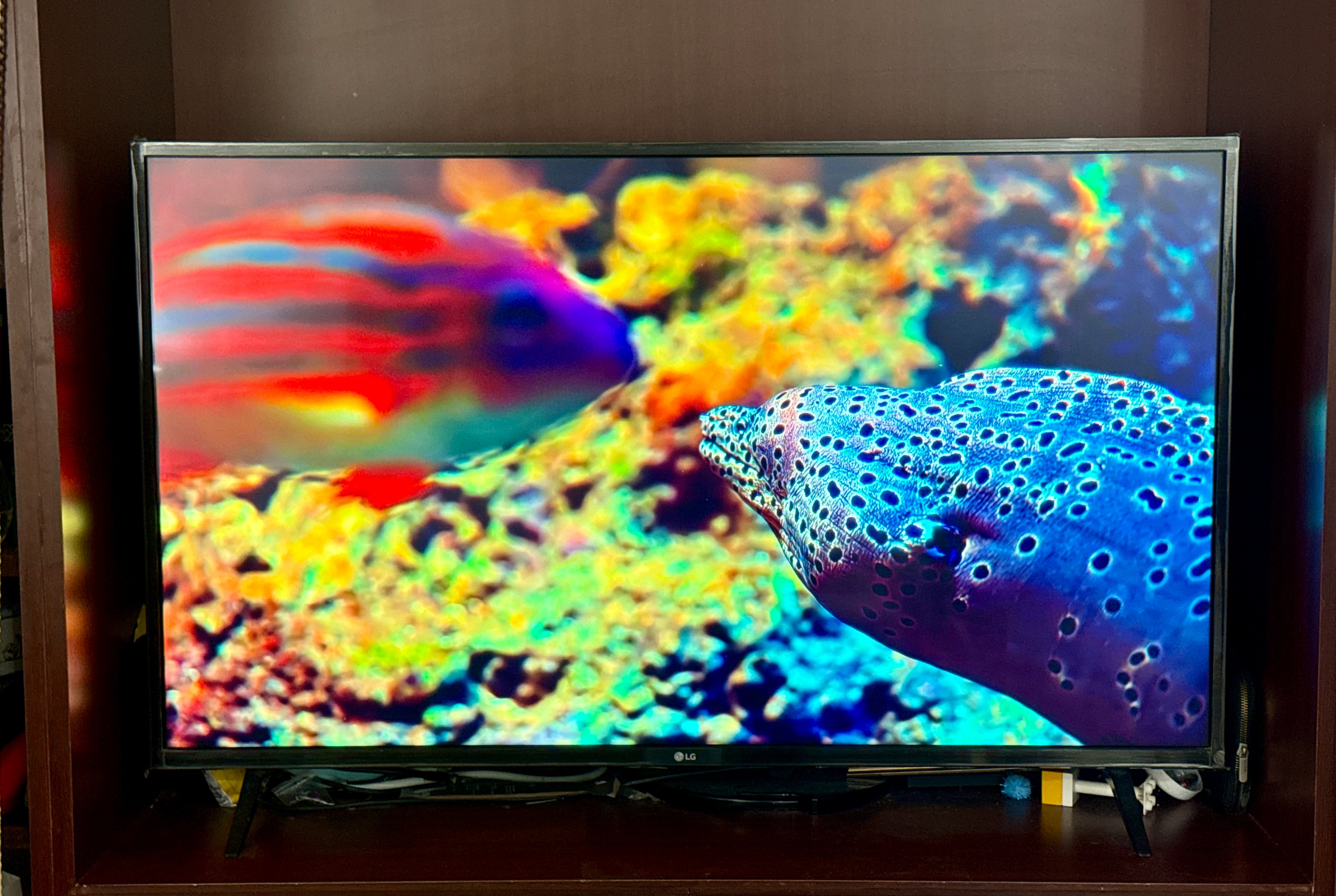 Like brand new LG 43” 4K UHD Smart TV | webOS - Image 1