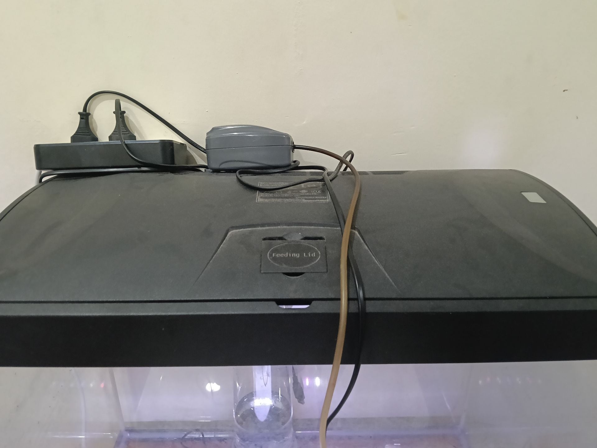 Fish tank  - Image 5