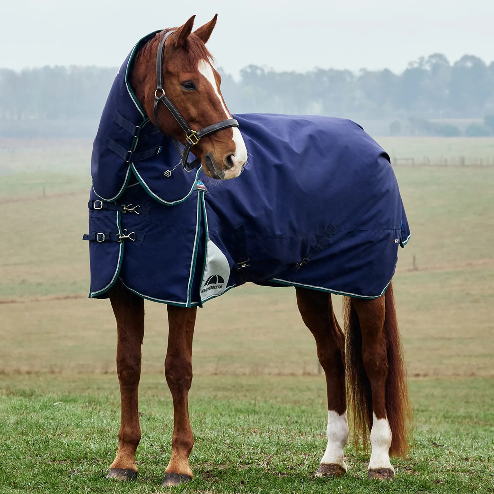 WeatherBeeta ComFiTec Plus Dynamic 0g Detach-A-Neck Turnout Rug - Image 3