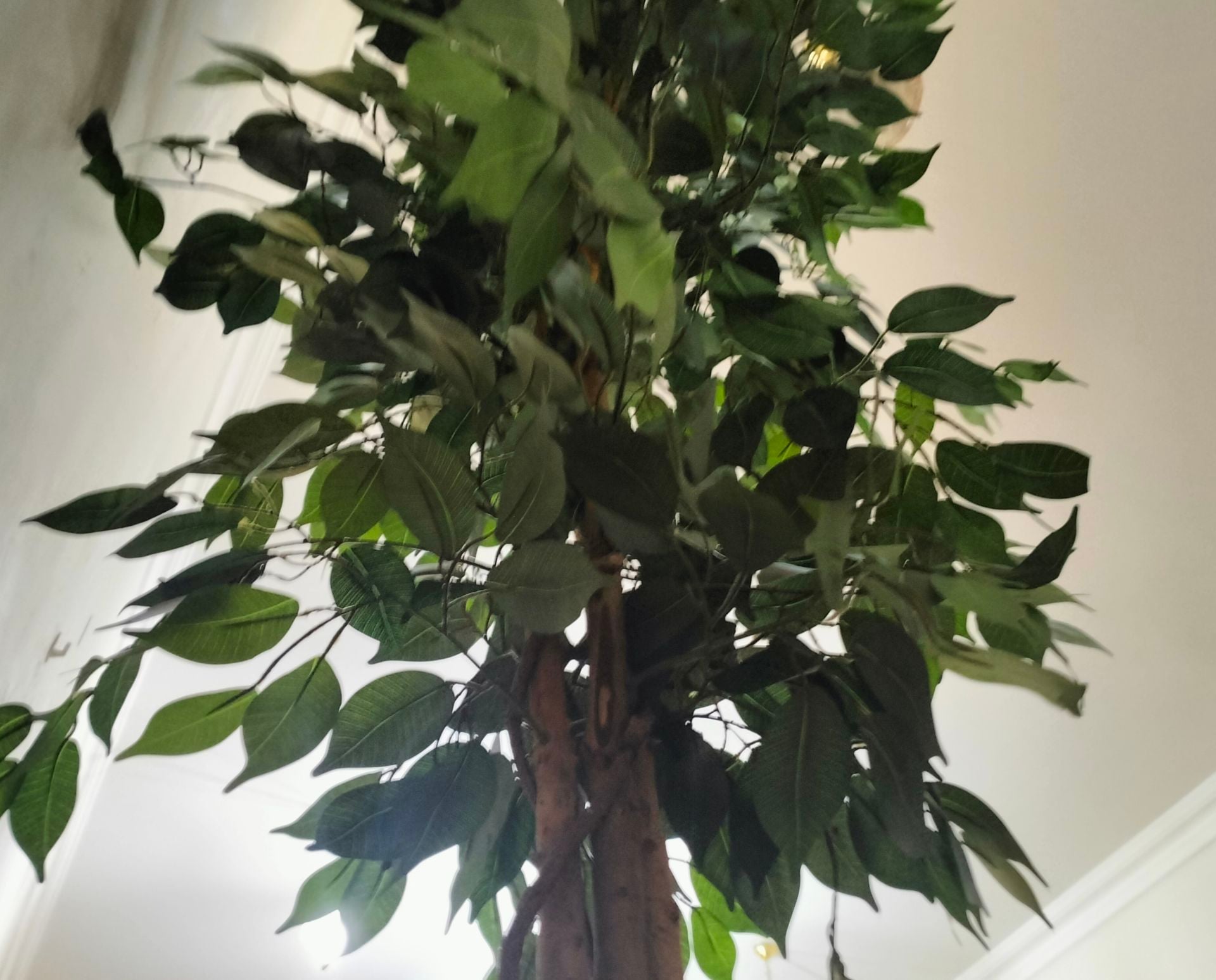 Artificial plant - Image 3