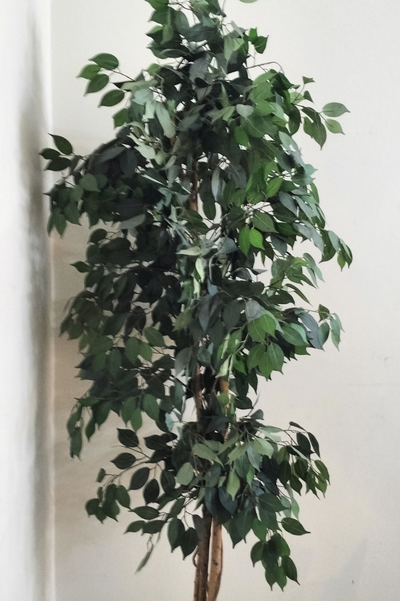Artificial plant - Image 7