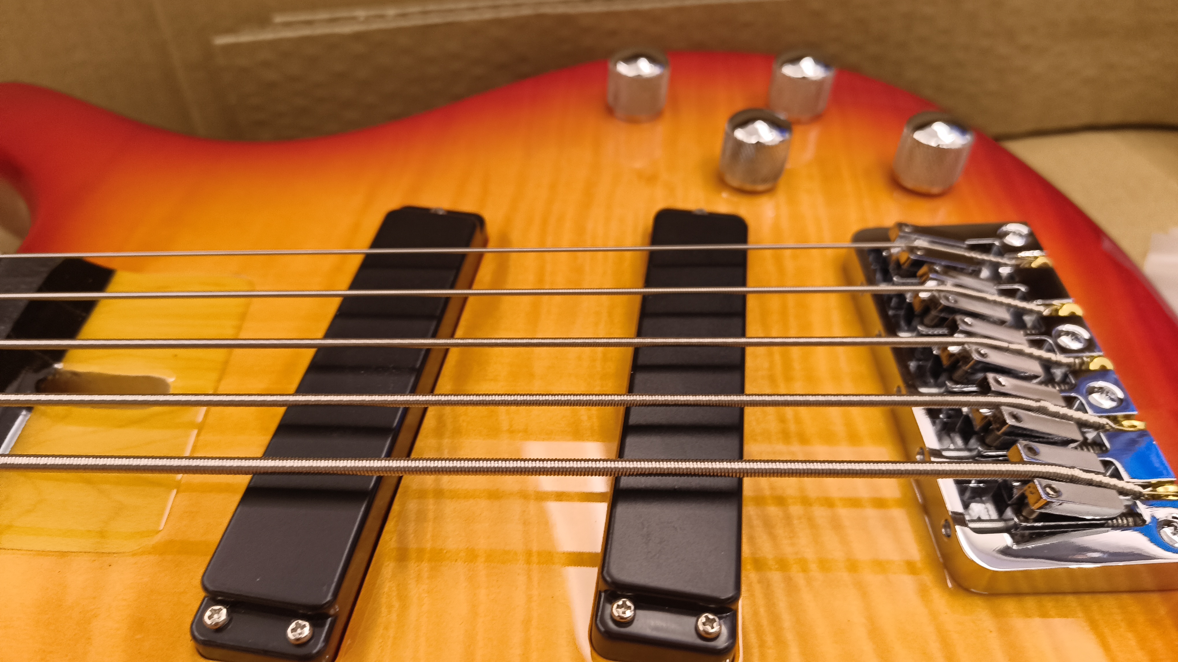 5 String Custom Bass - Image 2