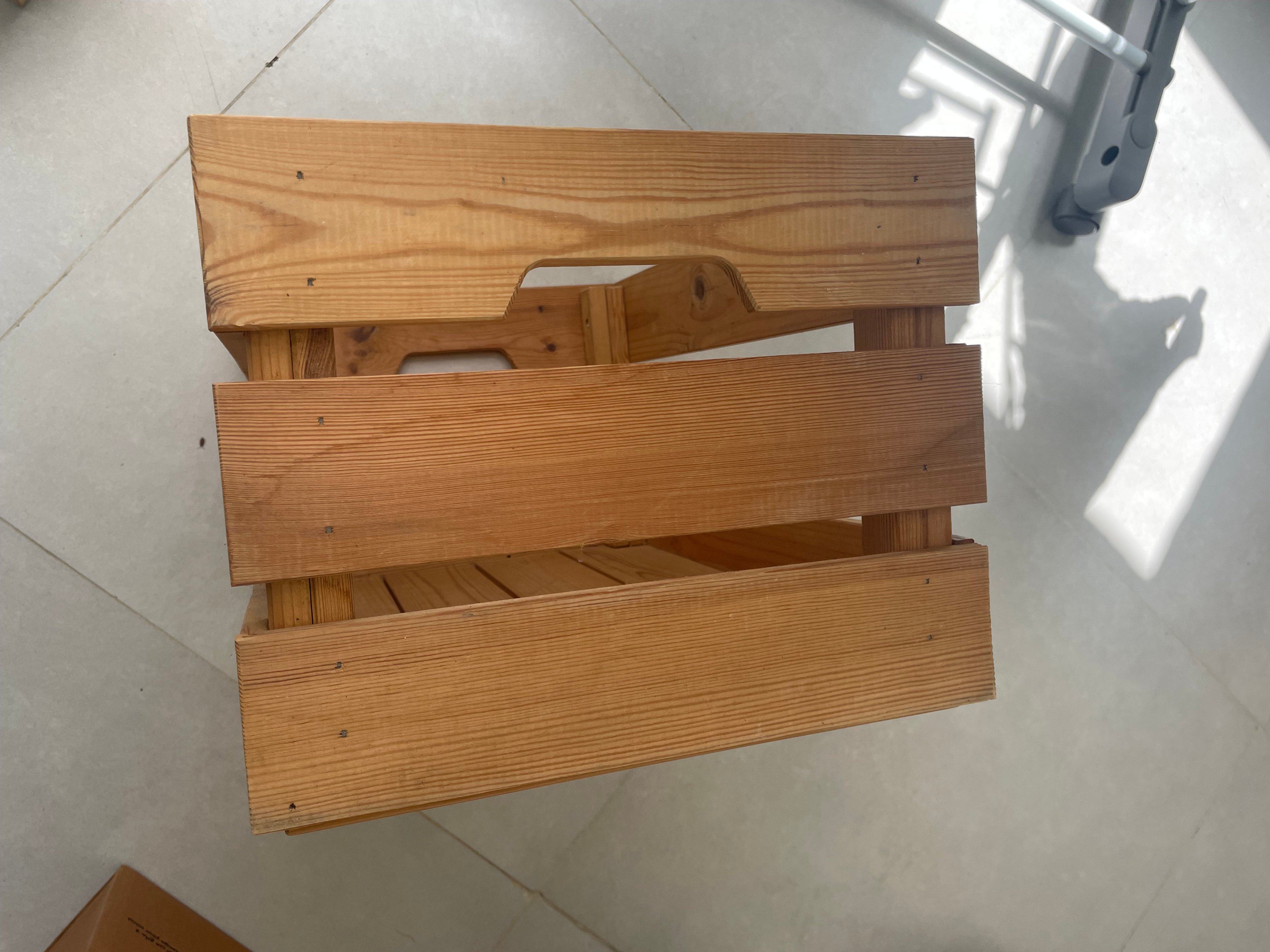 Box pine - Image 3