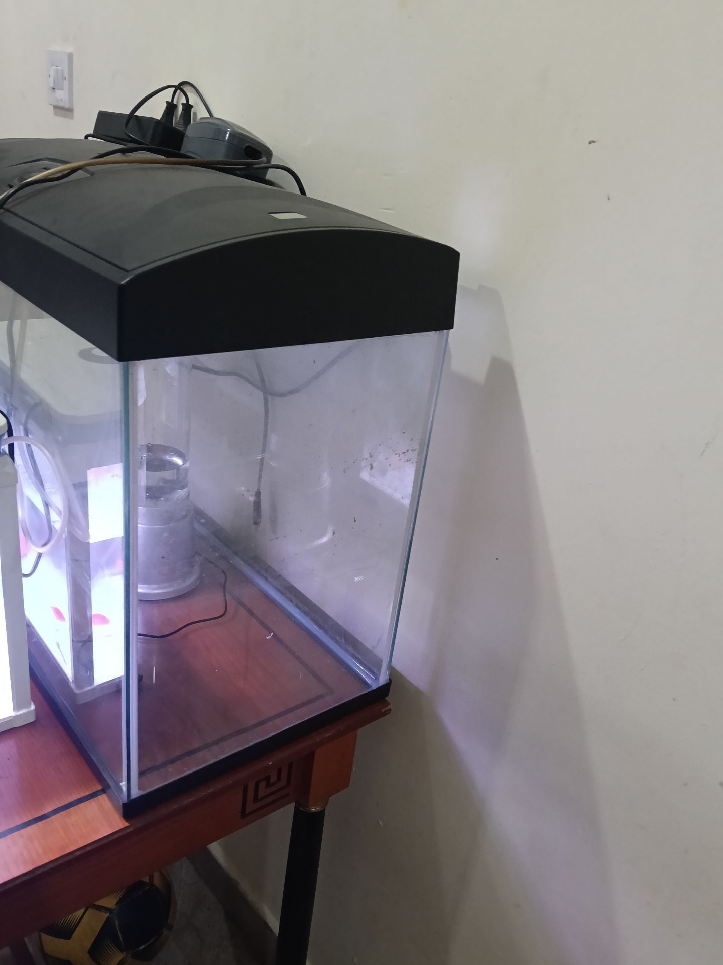 Fish tank  - Image 2
