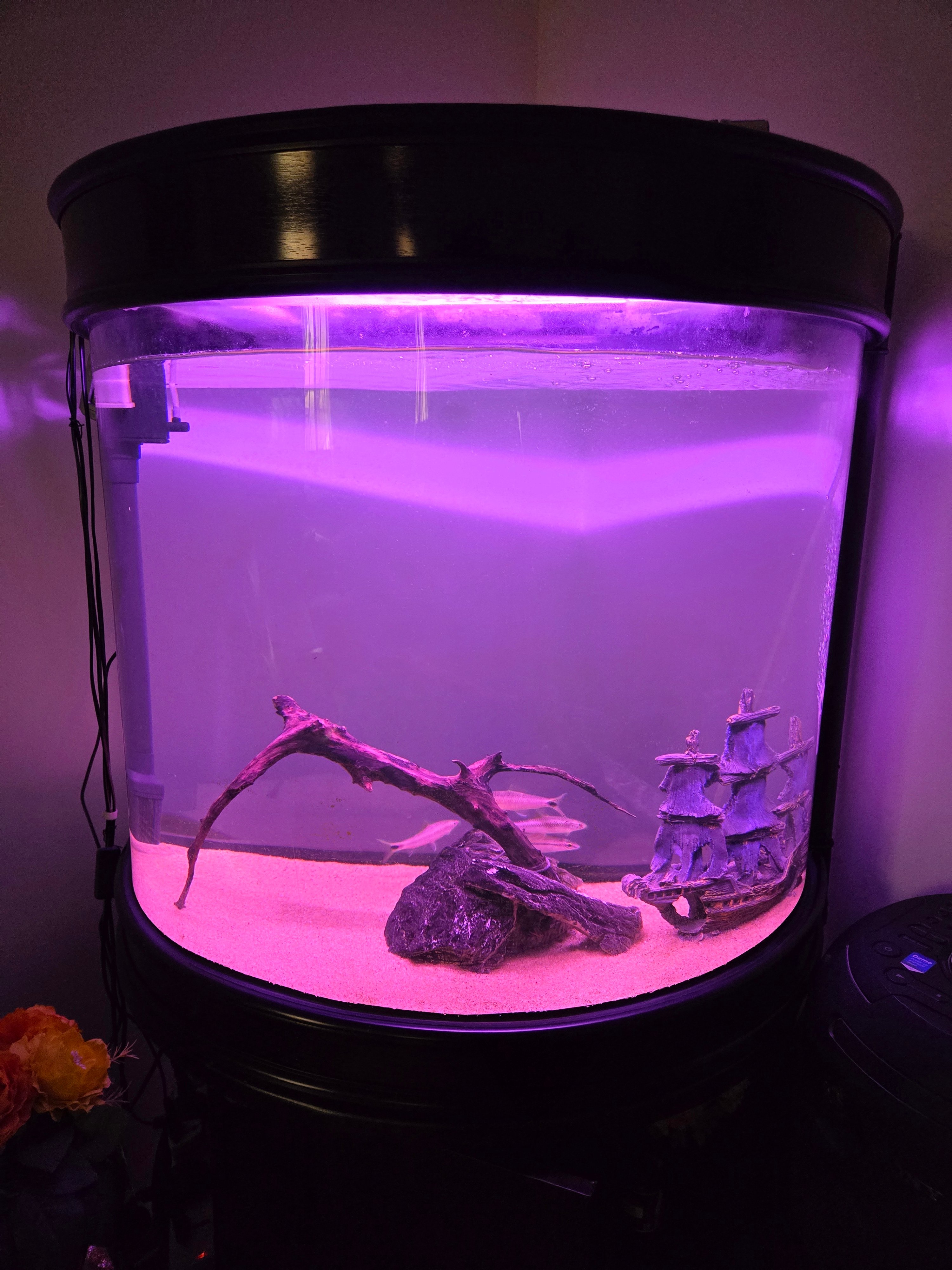 Large semi-sphere fish aquarium with accessories - Image 1