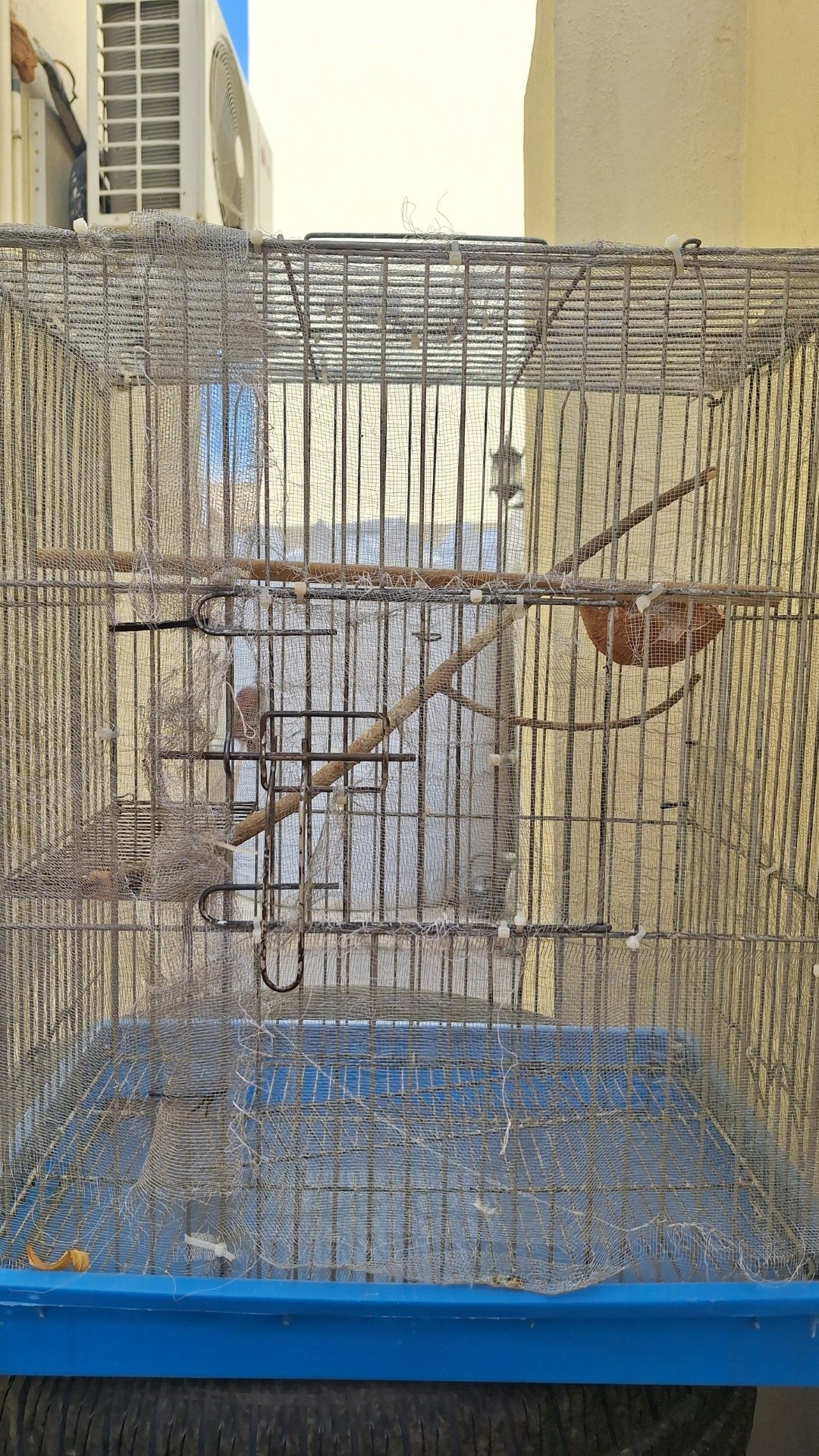 Big cage - Image 2