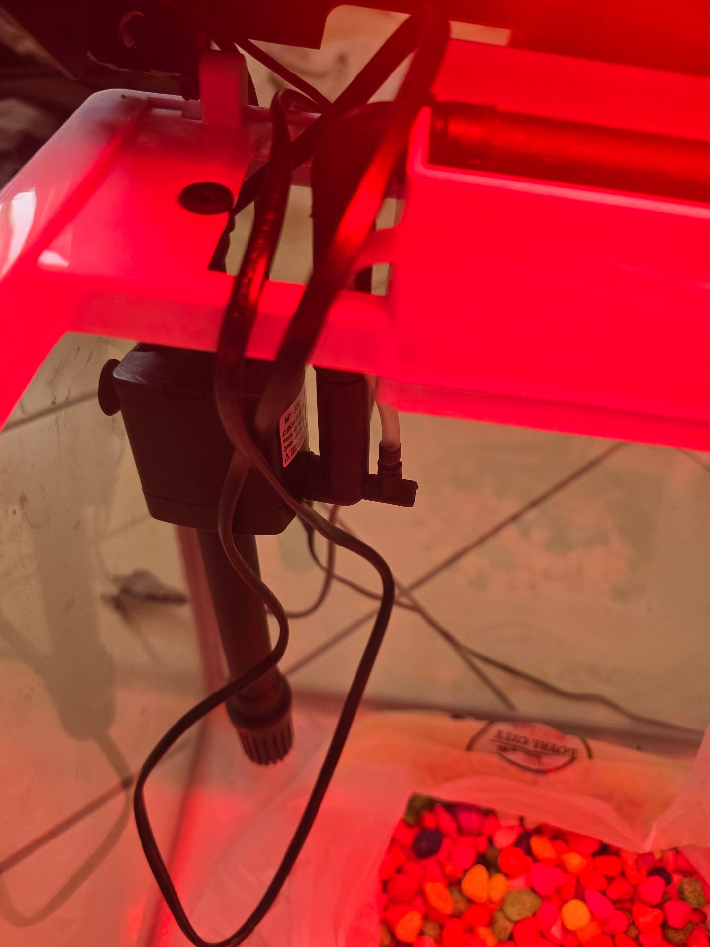 Aquarium/fish tank with LED lights/pump - Image 2