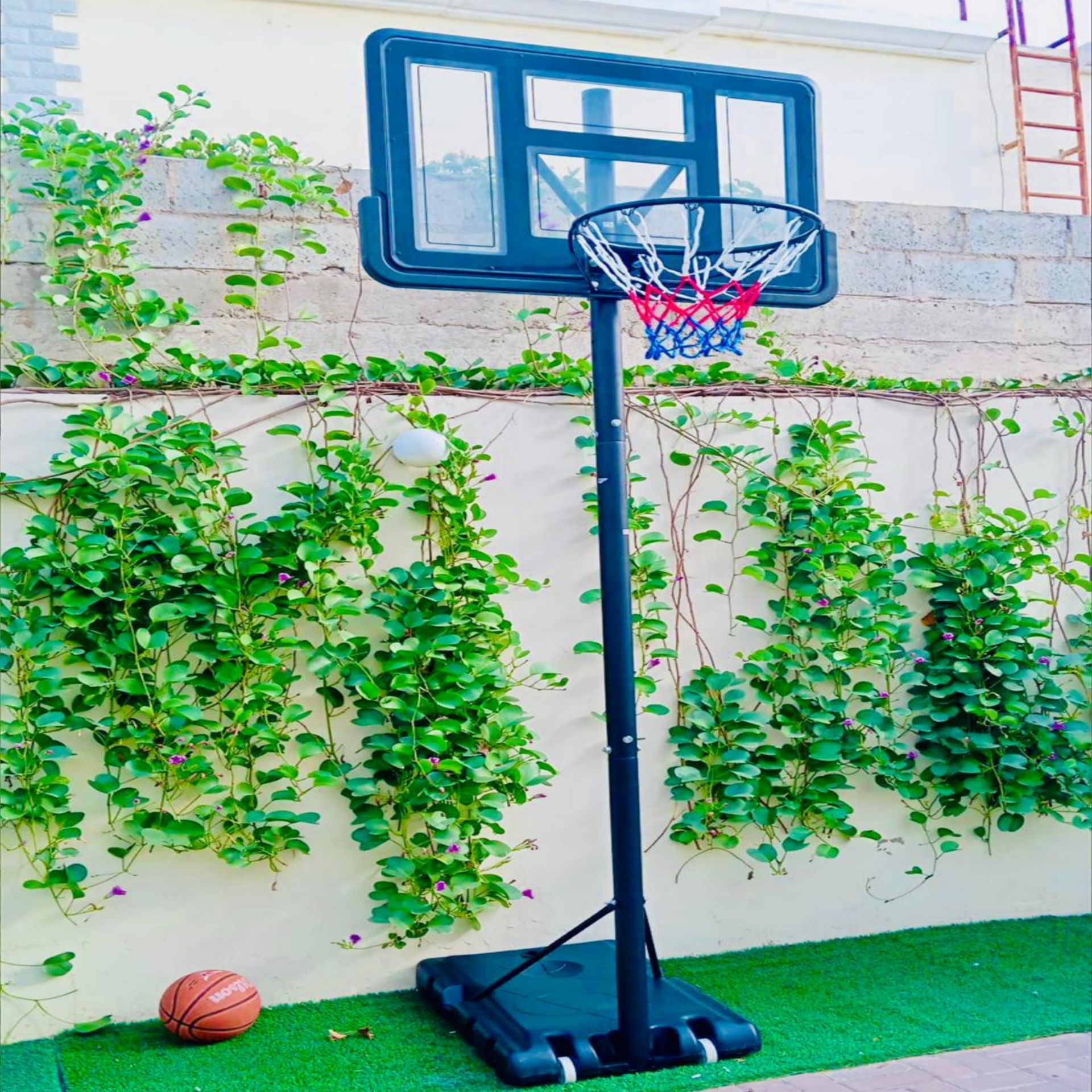Basketball hoops - Image 1
