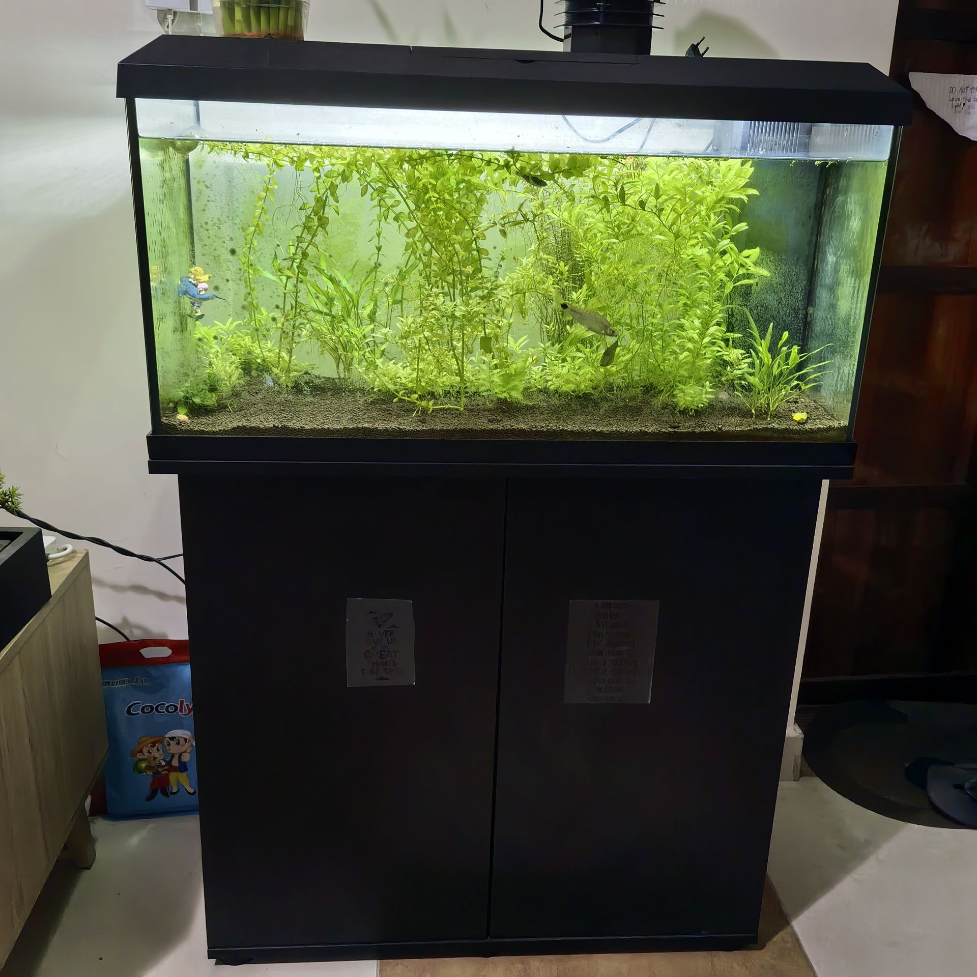 Used Shelves & Storage for Home - Affordable Price - Image 3