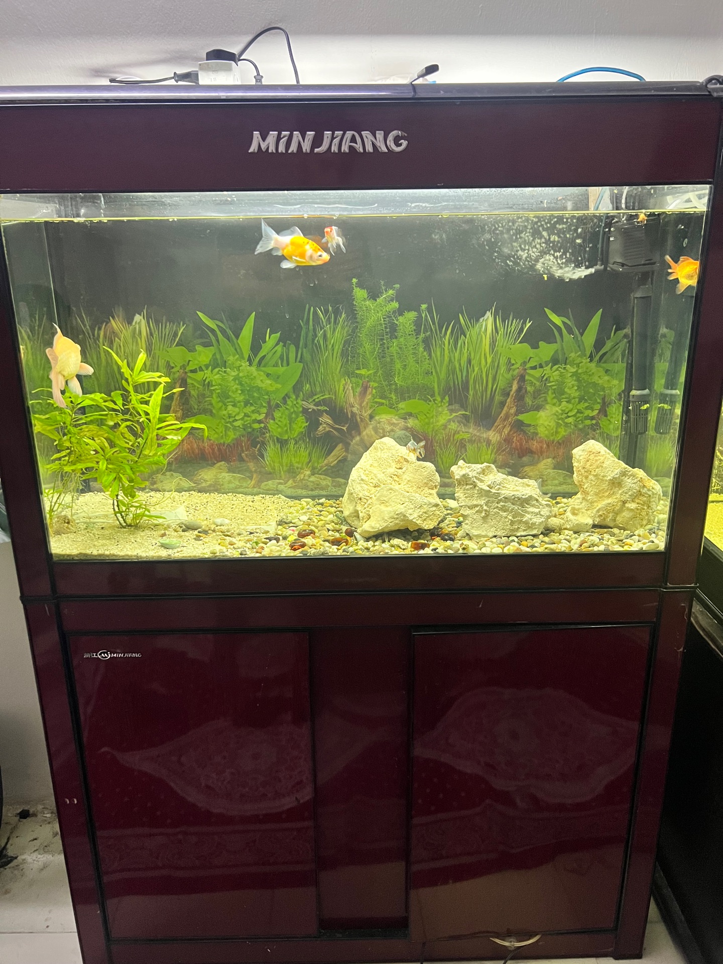 Aquarium full set - Image 4