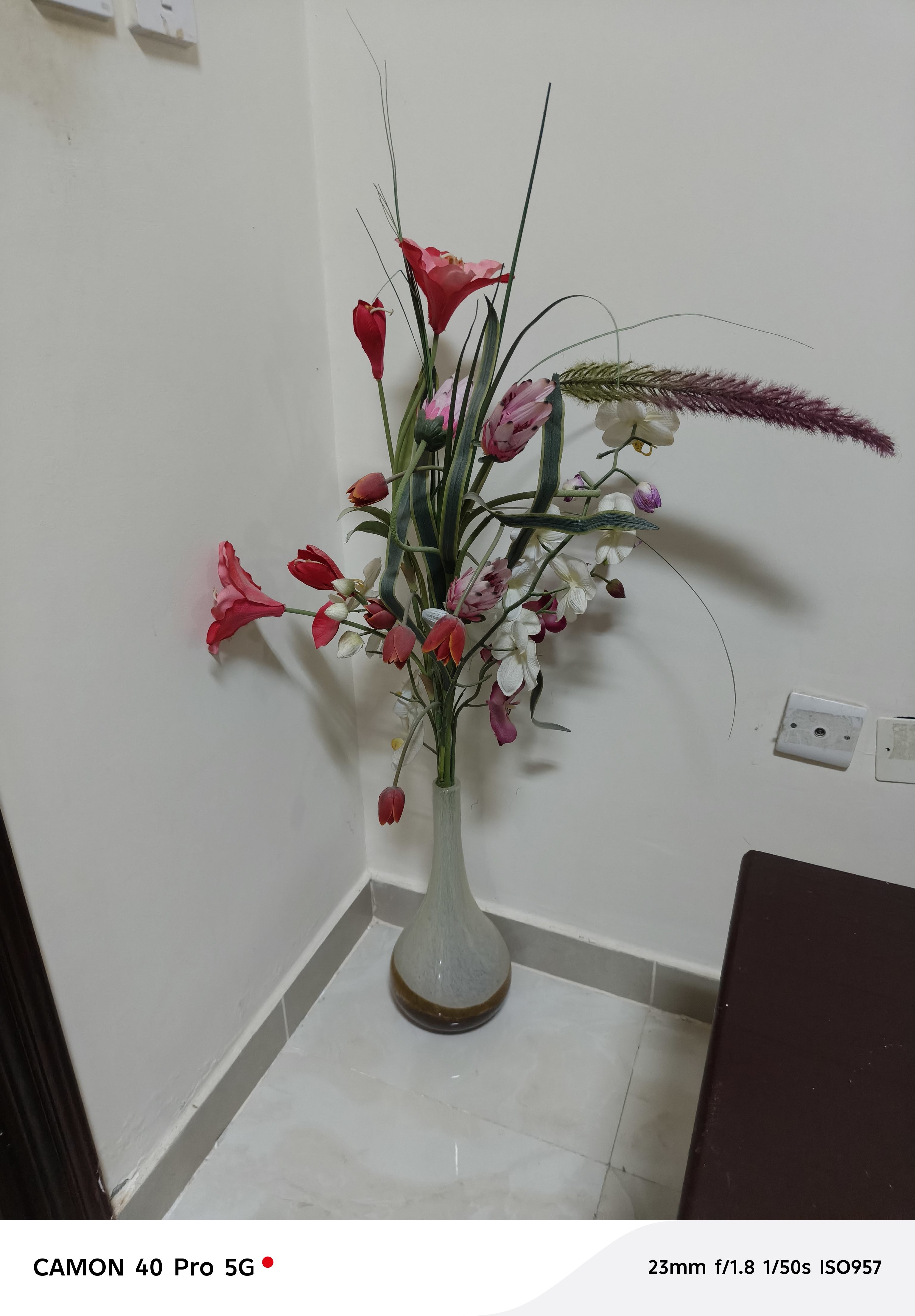 LG Washing Machine 7Kg with free Gift of decorative piece - Image 3