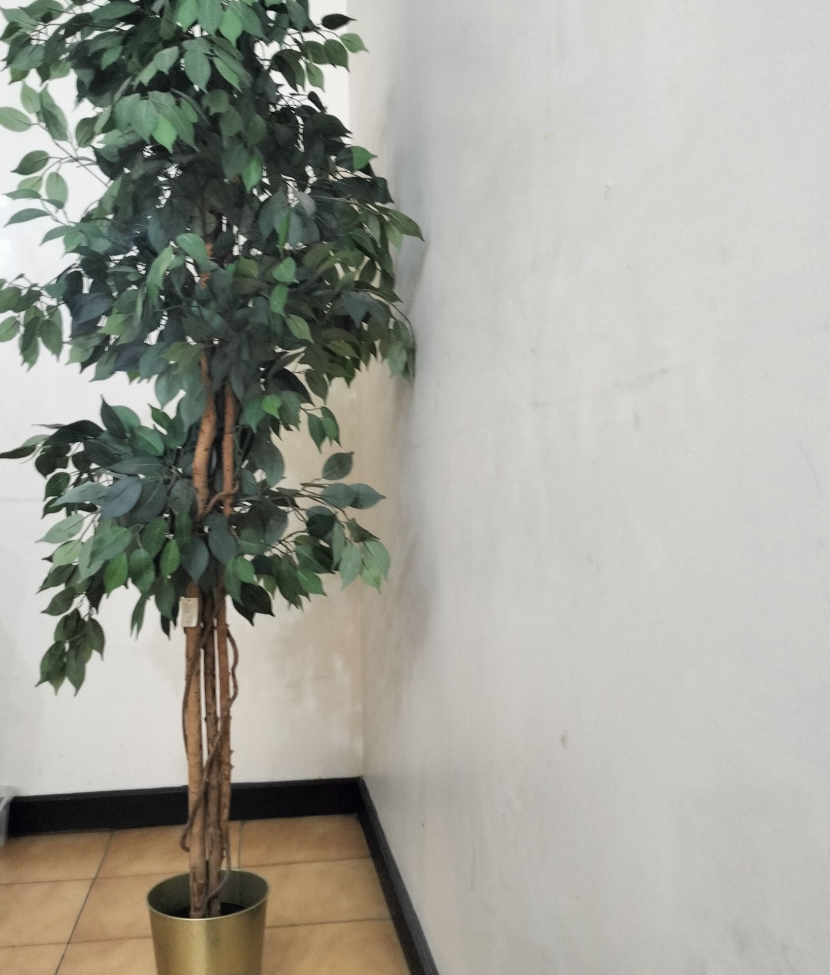 Artificial plant - Image 2