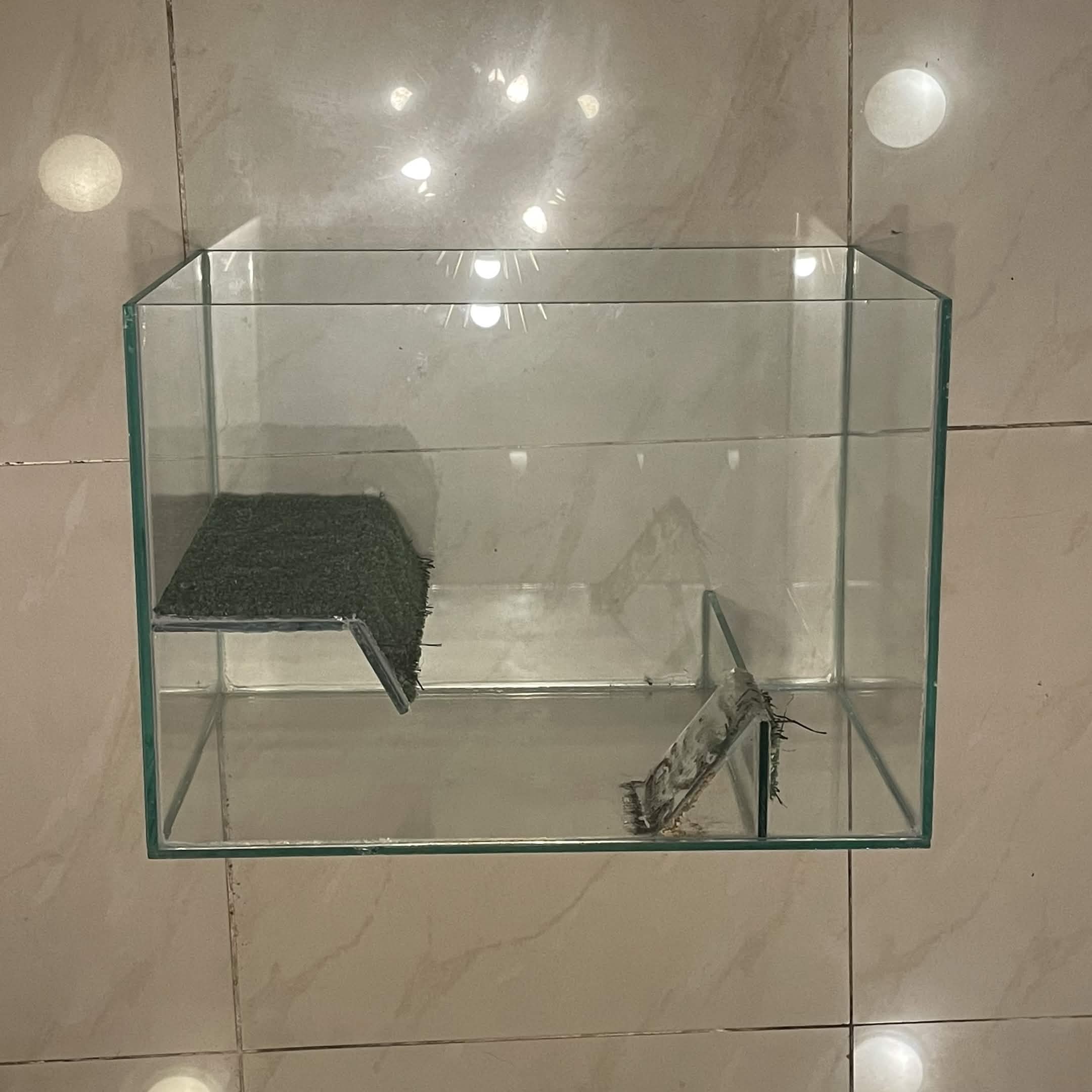 Reptile/Amphibian/Rodent Glass Tank - Image 7