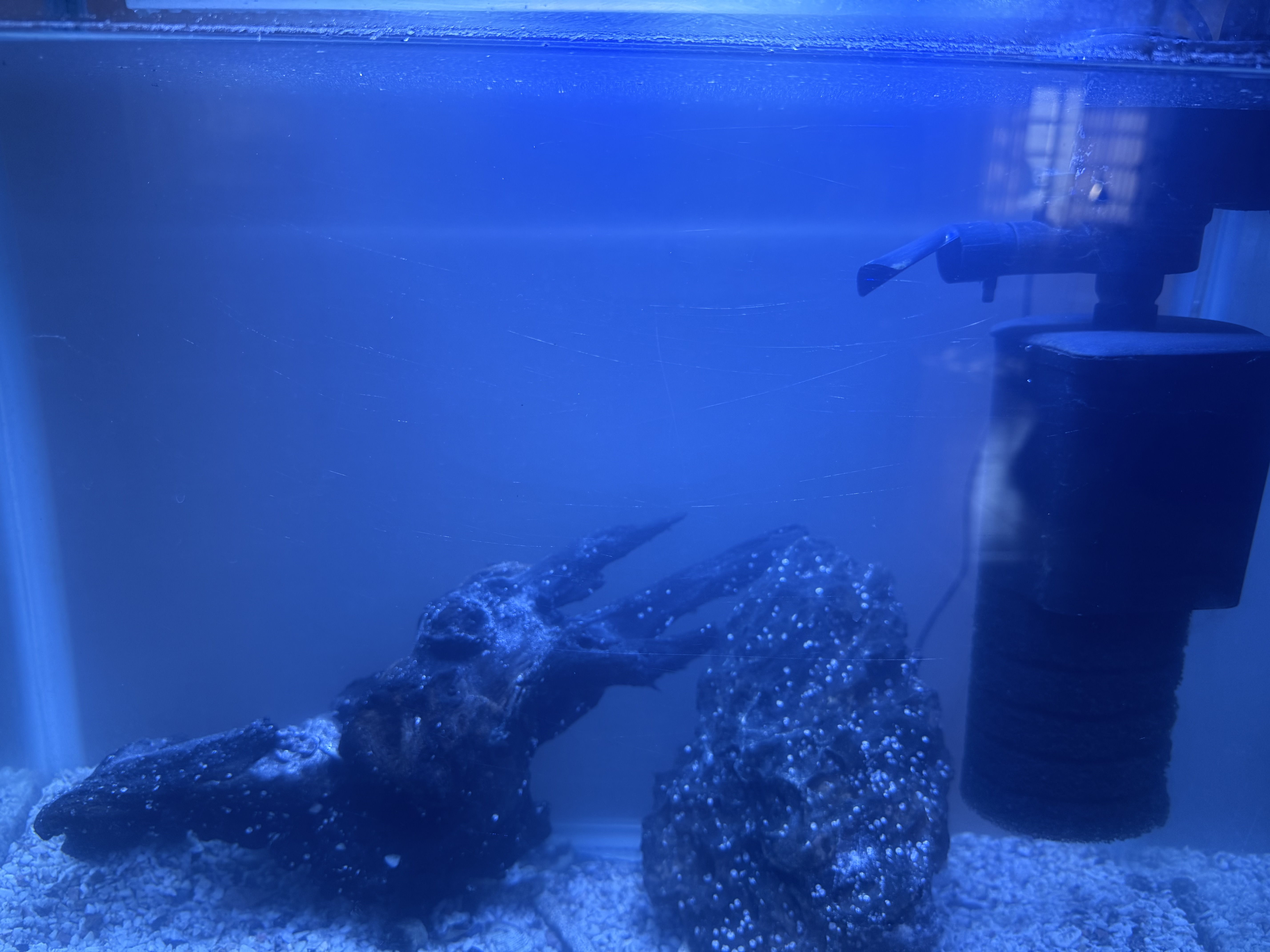 Aquarium with filter - Image 3