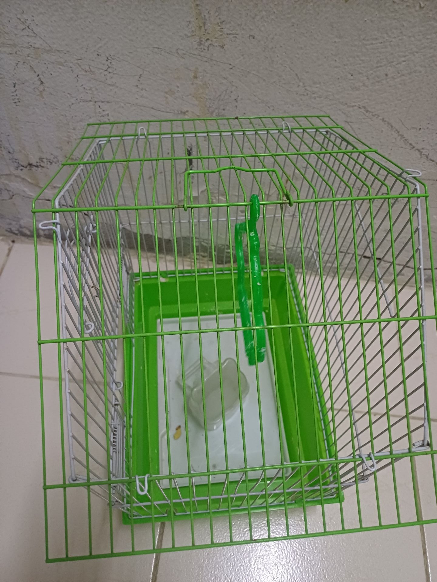 Birds cage ... tow cage avilable.. - Image 7