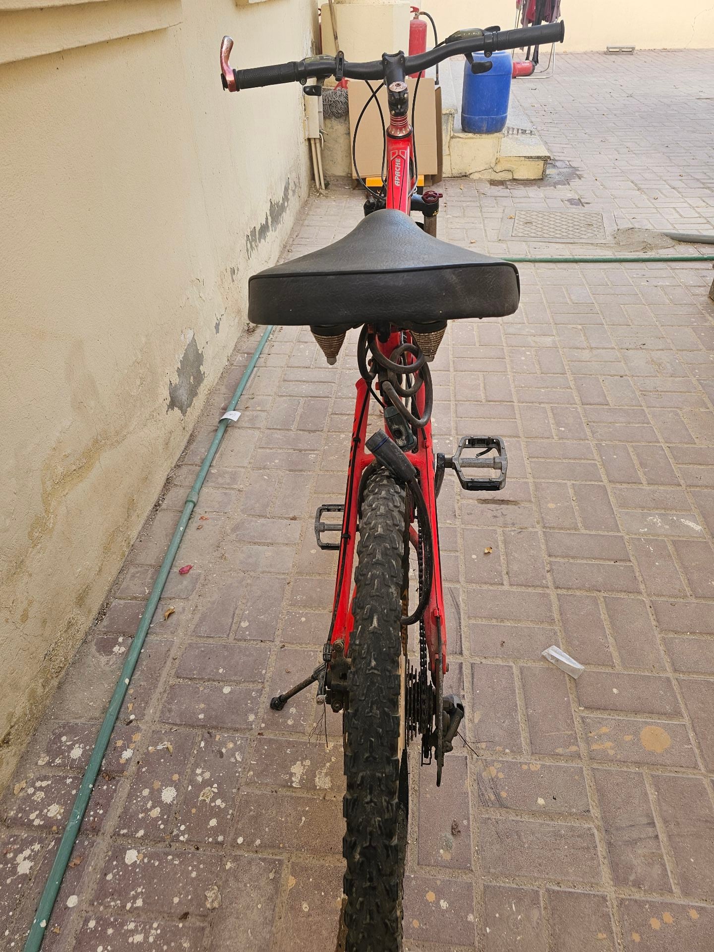 American cycle - Image 3