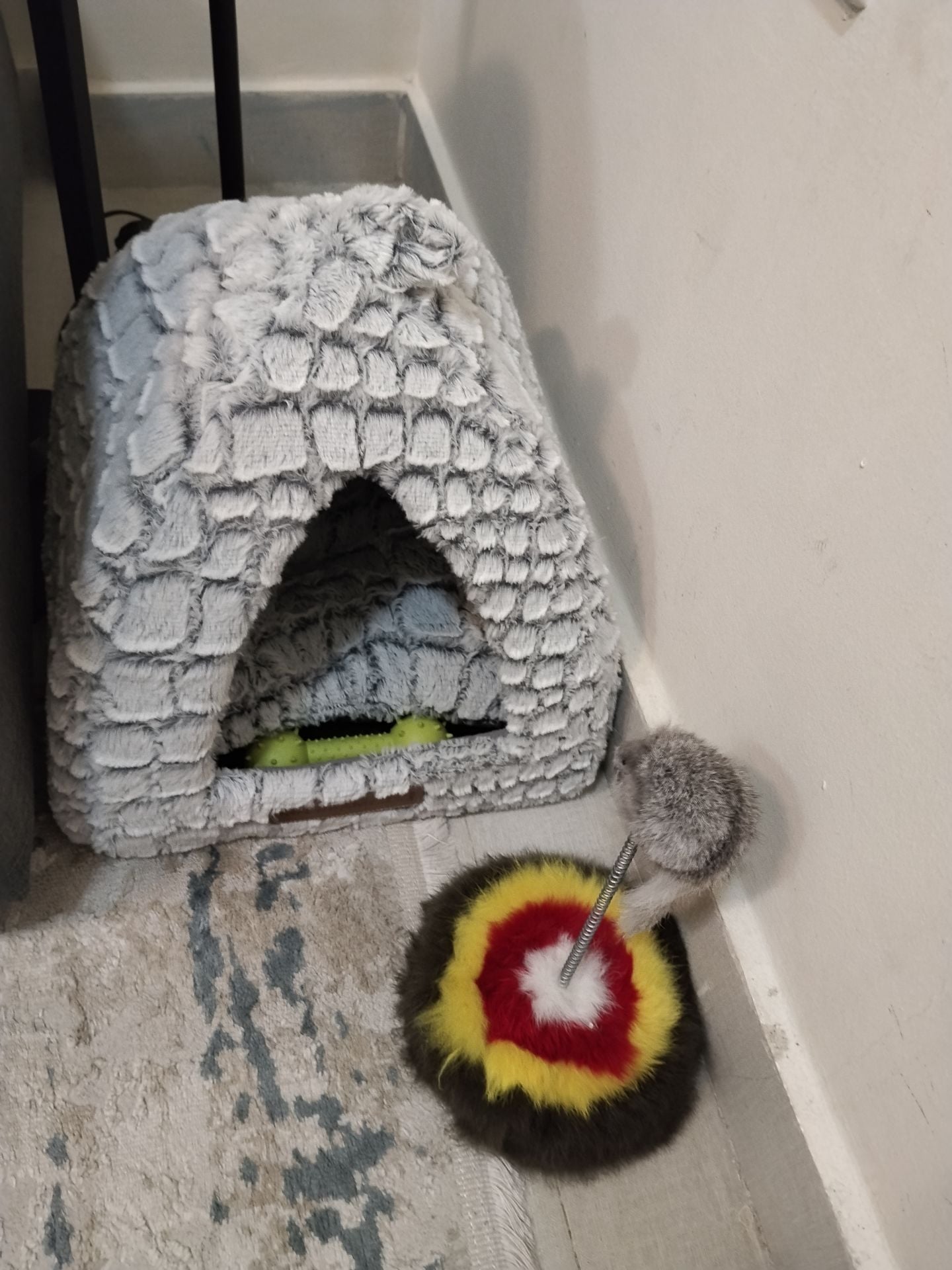 Cat house + kitten carrier and toy - Image 2
