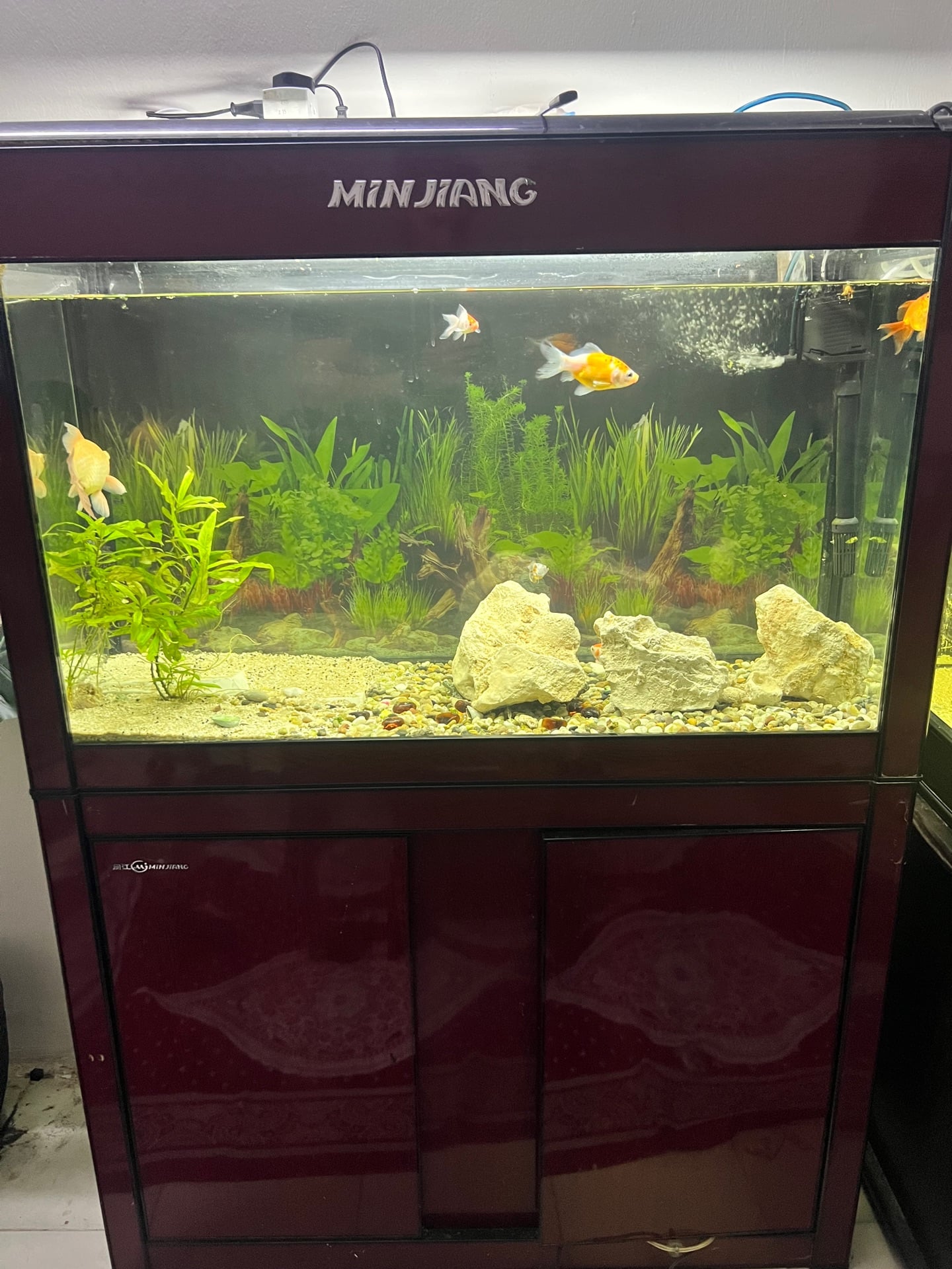 Aquarium full set - Image 3