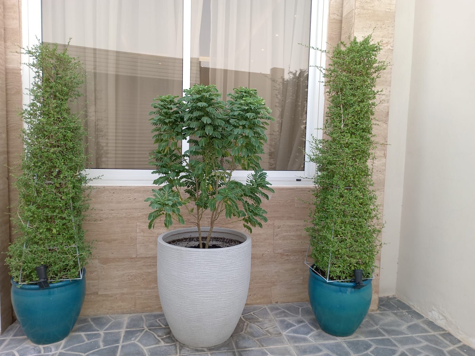 بستاني - خدمات الصيانة