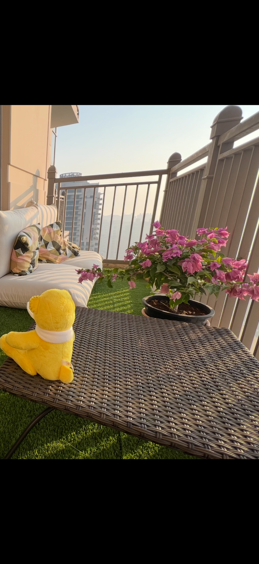 Cushions outdoor - Image 1