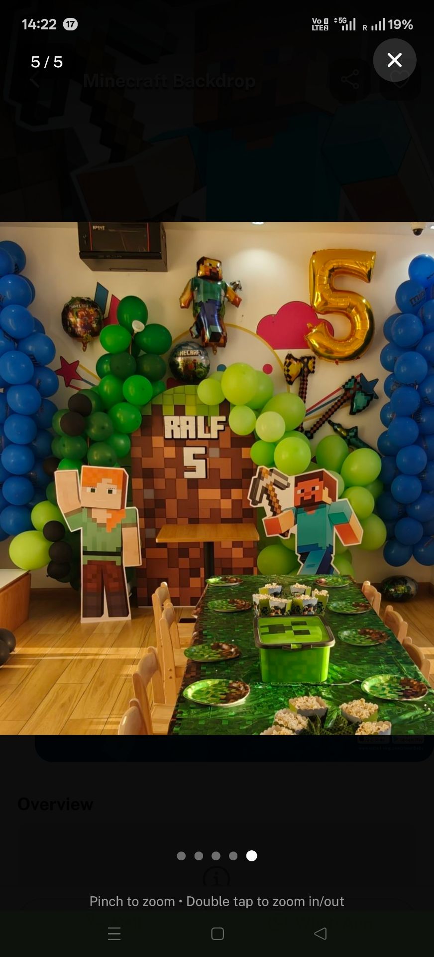 Minecraft Backdrop - Image 1