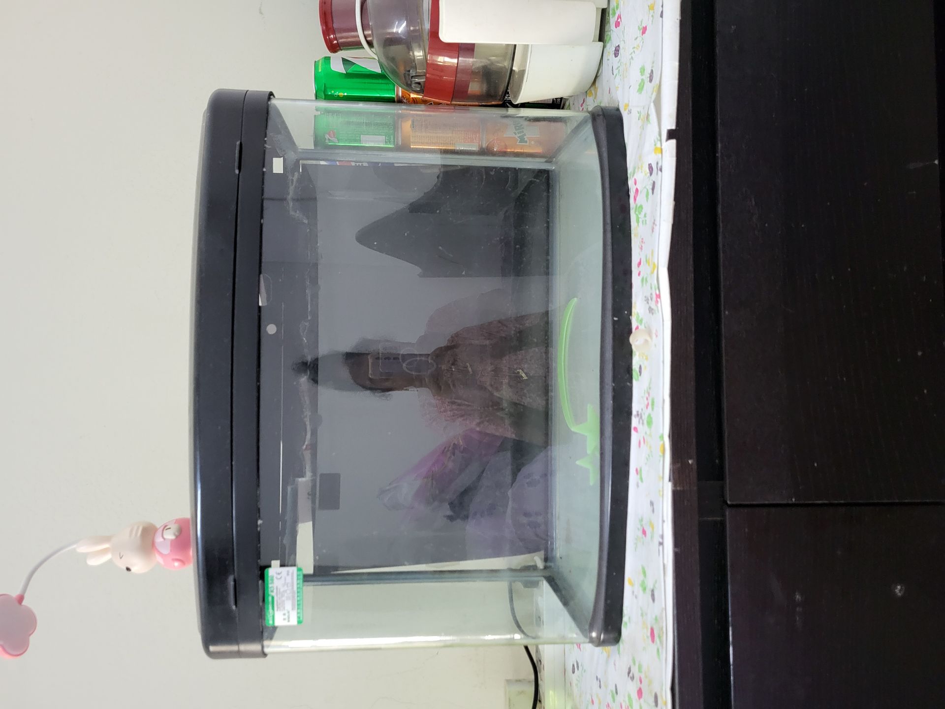 Fish tank - Image 4