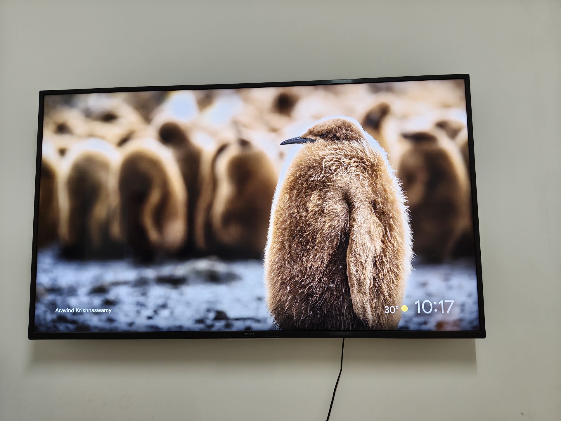 BRAVIA X7 K 65 INCH - Image 2