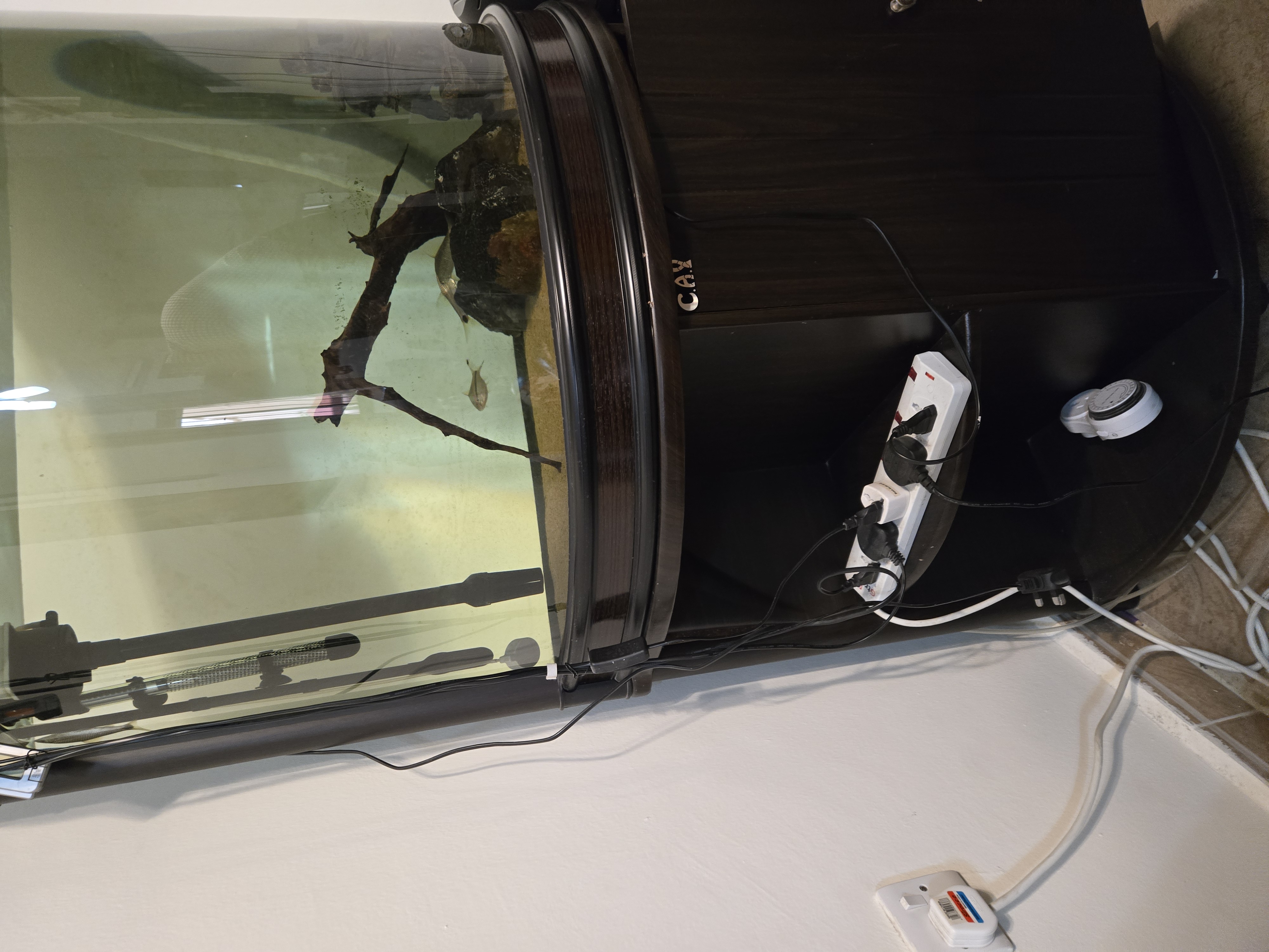 Large semi-sphere fish aquarium with accessories  - Image 3