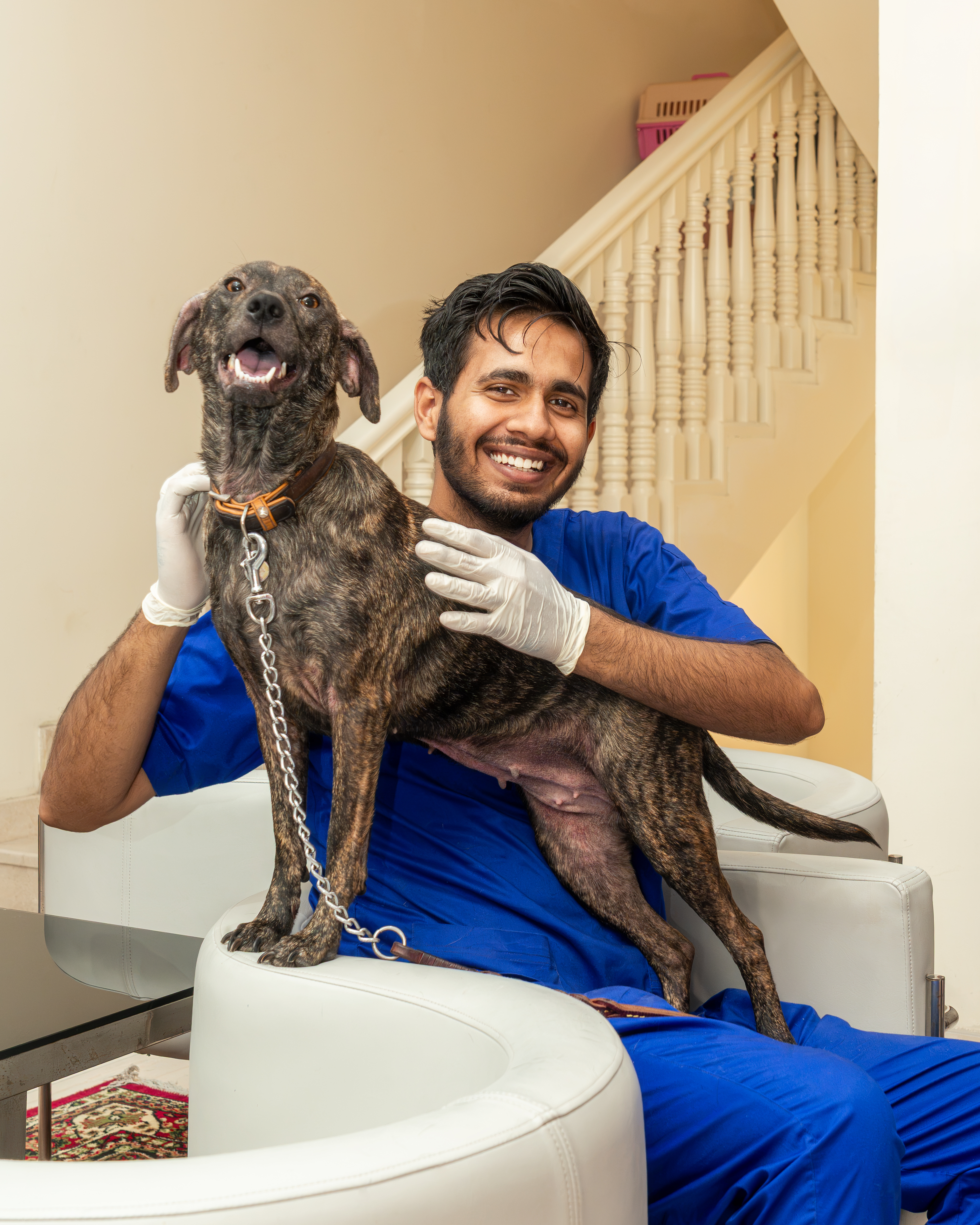Trusted Veterinary Care in Doha | Oryx Veterinary Center - Image 3