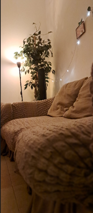 This is a set of 3 extremely soft and comfy sofas plus cushions  - Image 6